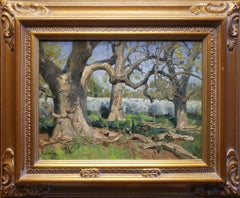 Robles en el Rancho Tejon Oak