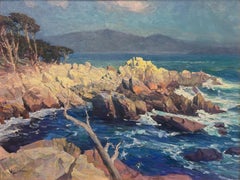 Costa bañada por el sol: la península de Monterey