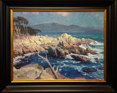 Sunlit Coastline: Monterey Peninsula