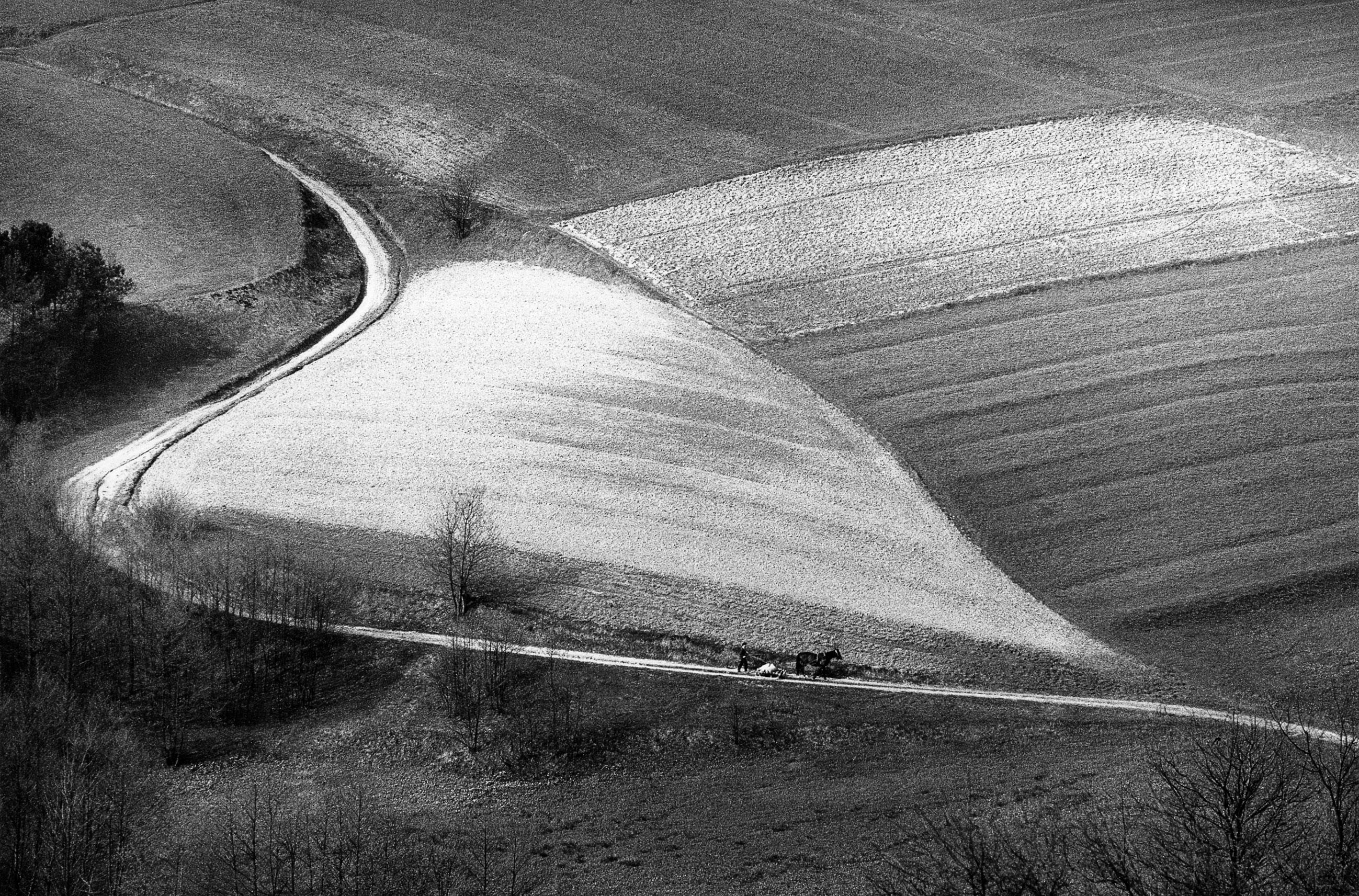 Black and white lansdcape -
A Field Path
- Strzyzów - Polish Galicia