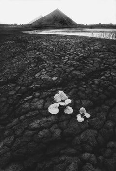 Coalheaps, Silesia, Industrial landscape, silver gelatin print, Poland 1978