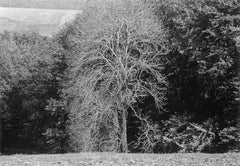 Black and White Photography