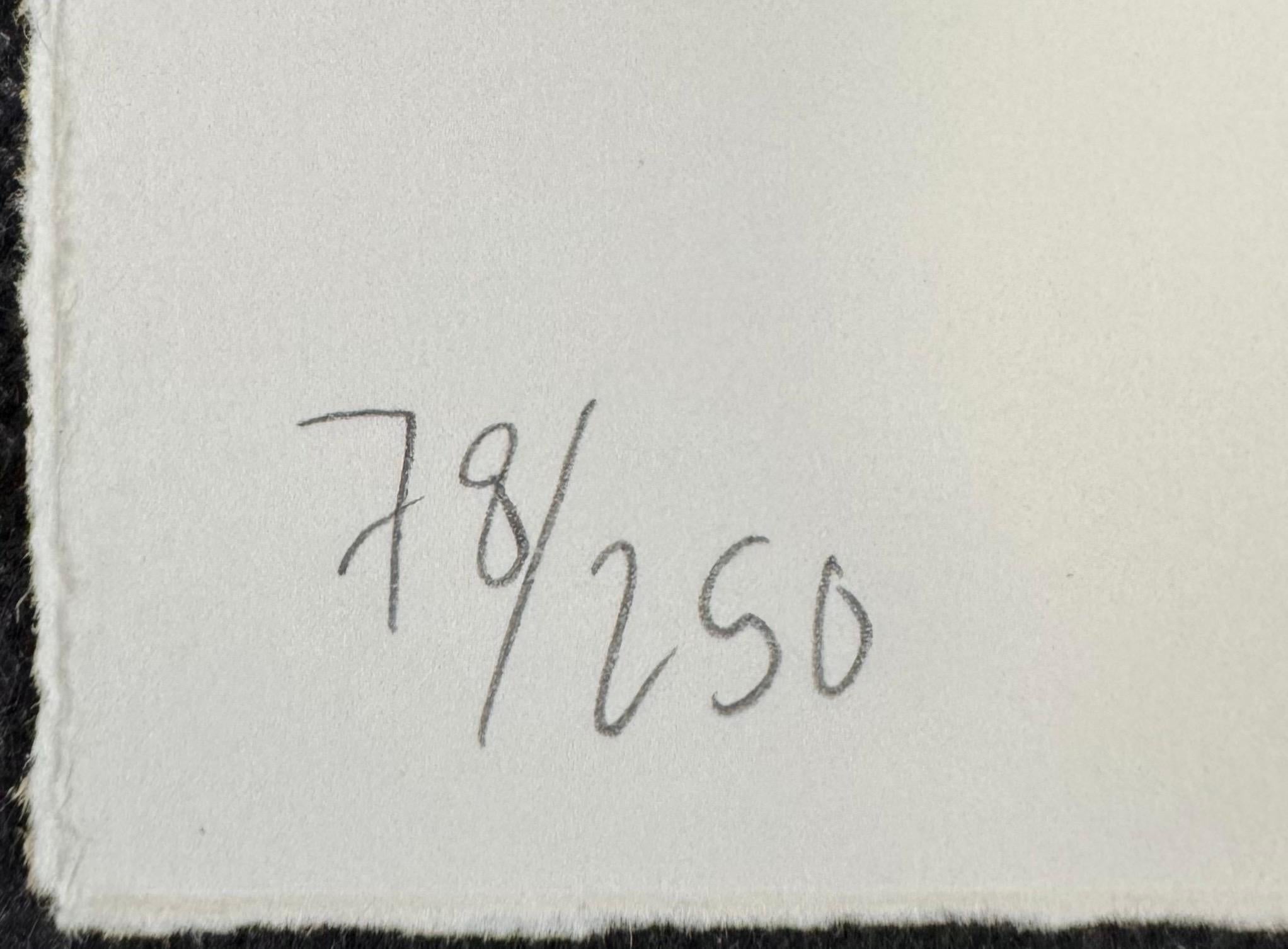 “Dream and Refuge, 2020” by Michael Armitage Signed Lithograph, Edition of 250 For Sale 3