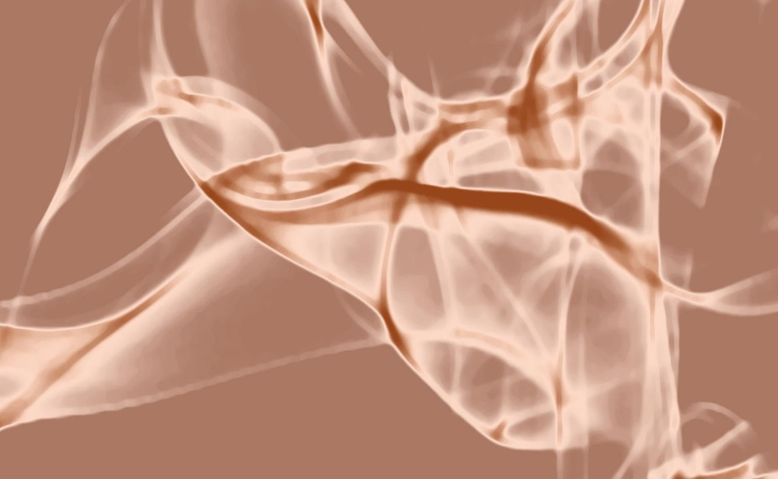 Adagio 2 - Impression carrée abstraite rose et orange en édition limitée, contemporaine - Marron Abstract Photograph par Michael Banks