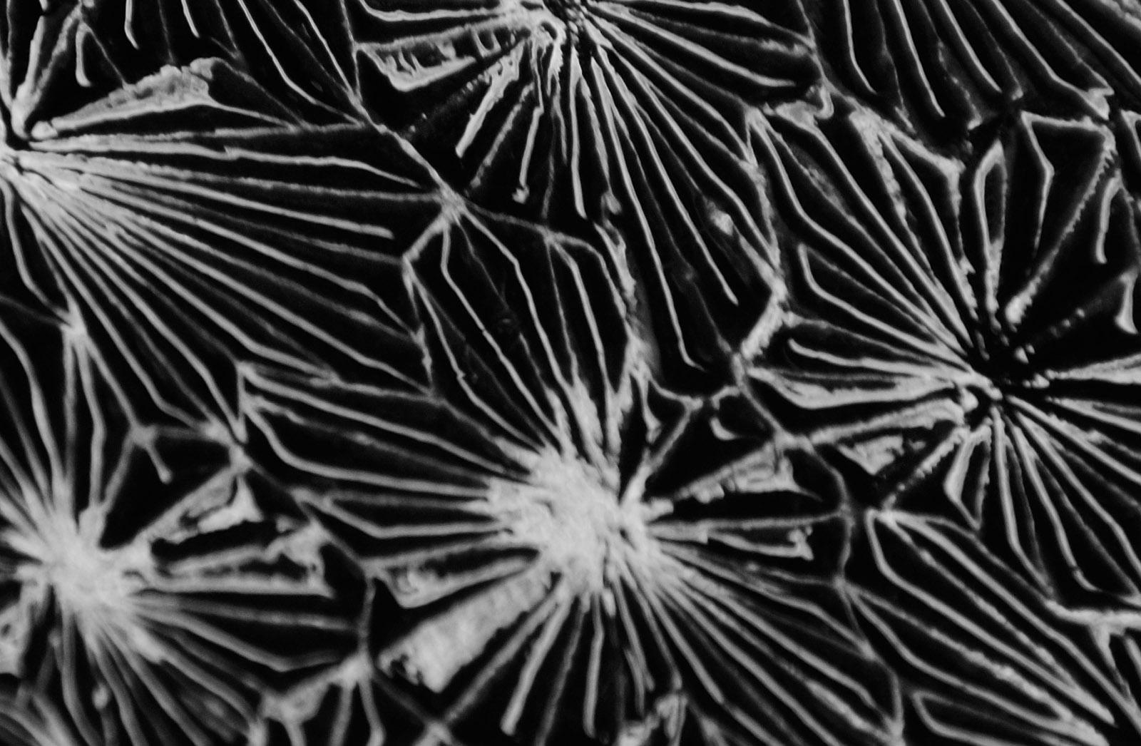 Enlighten 1 - Signed limited edition abstract pigment print, Large Format black - Black Black and White Photograph by Michael Banks