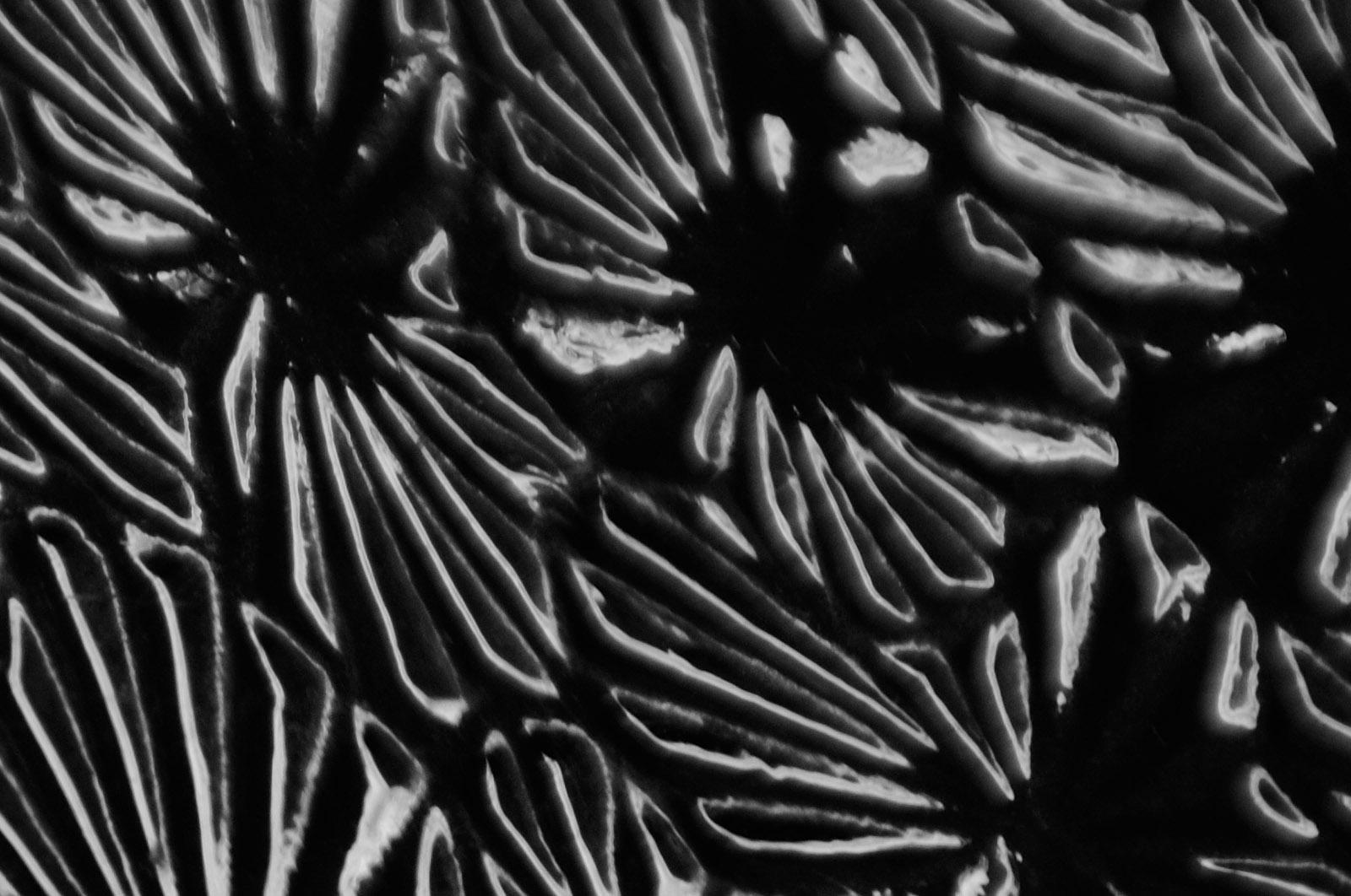 Enlighten 2 - Impression pigmentaire abstraite en édition limitée signée, grand format, noir - Photograph de Michael Banks
