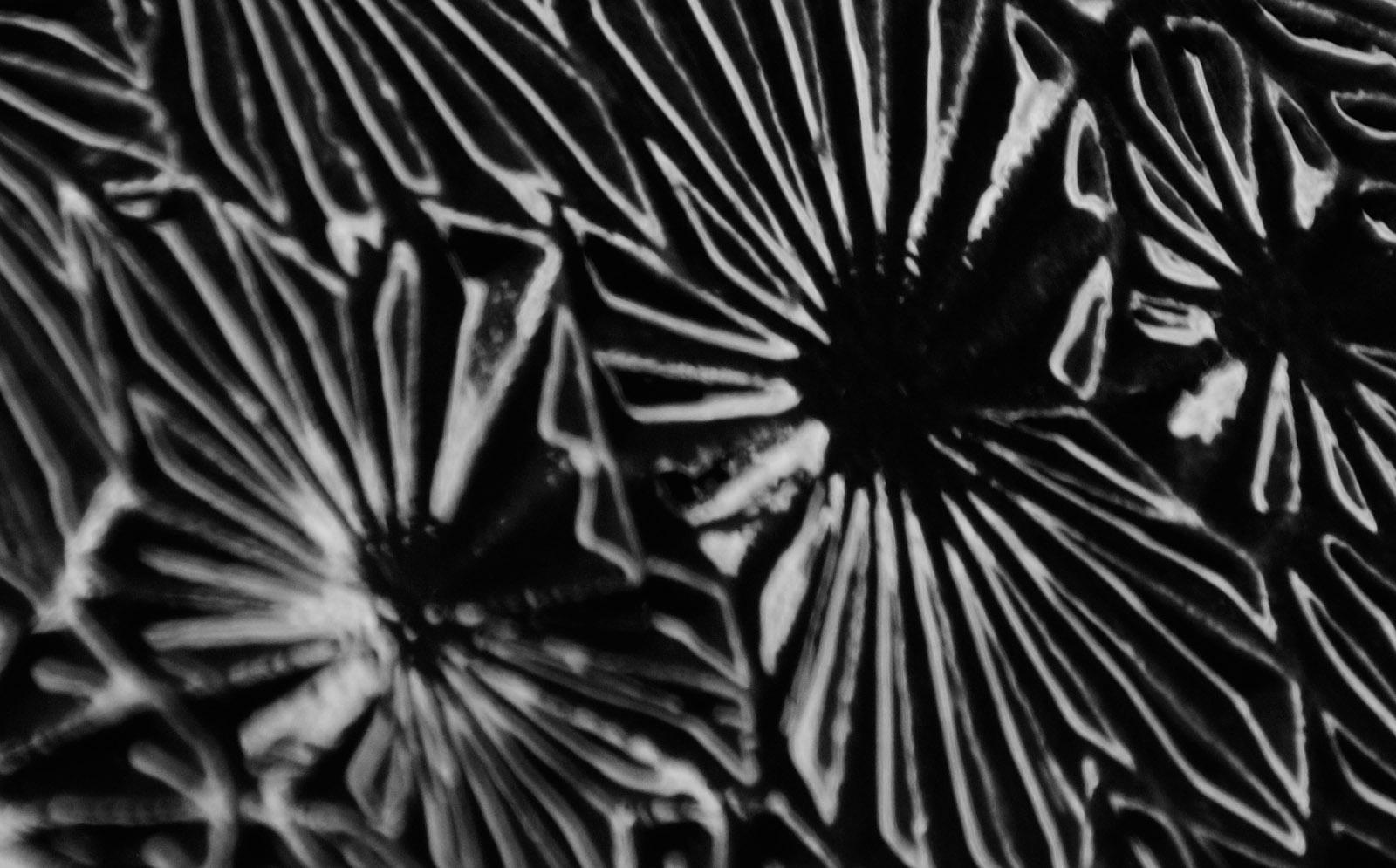 Enlighten 2 - Impression pigmentaire abstraite en édition limitée signée, grand format, noir - Noir Still-Life Photograph par Michael Banks