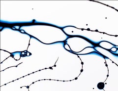 Fluidity 1- Signed limited edition abstract art print, Large format contemporary