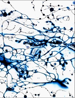 Fluidez 2- Edición limitada firmada, impresión abstracta de bellas artes, Oversize contemporáneo