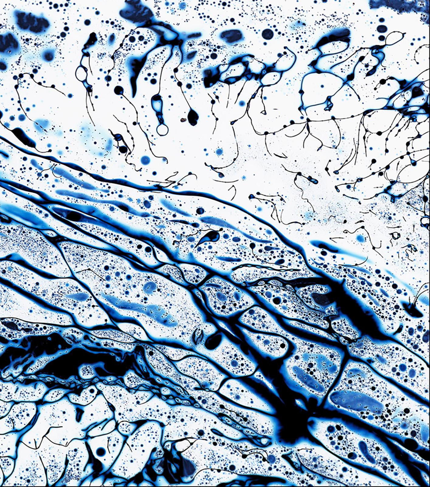 Fluidity 3-Signed limited edition abstract fine art print, large color photo, Blue - Photograph by Michael Banks