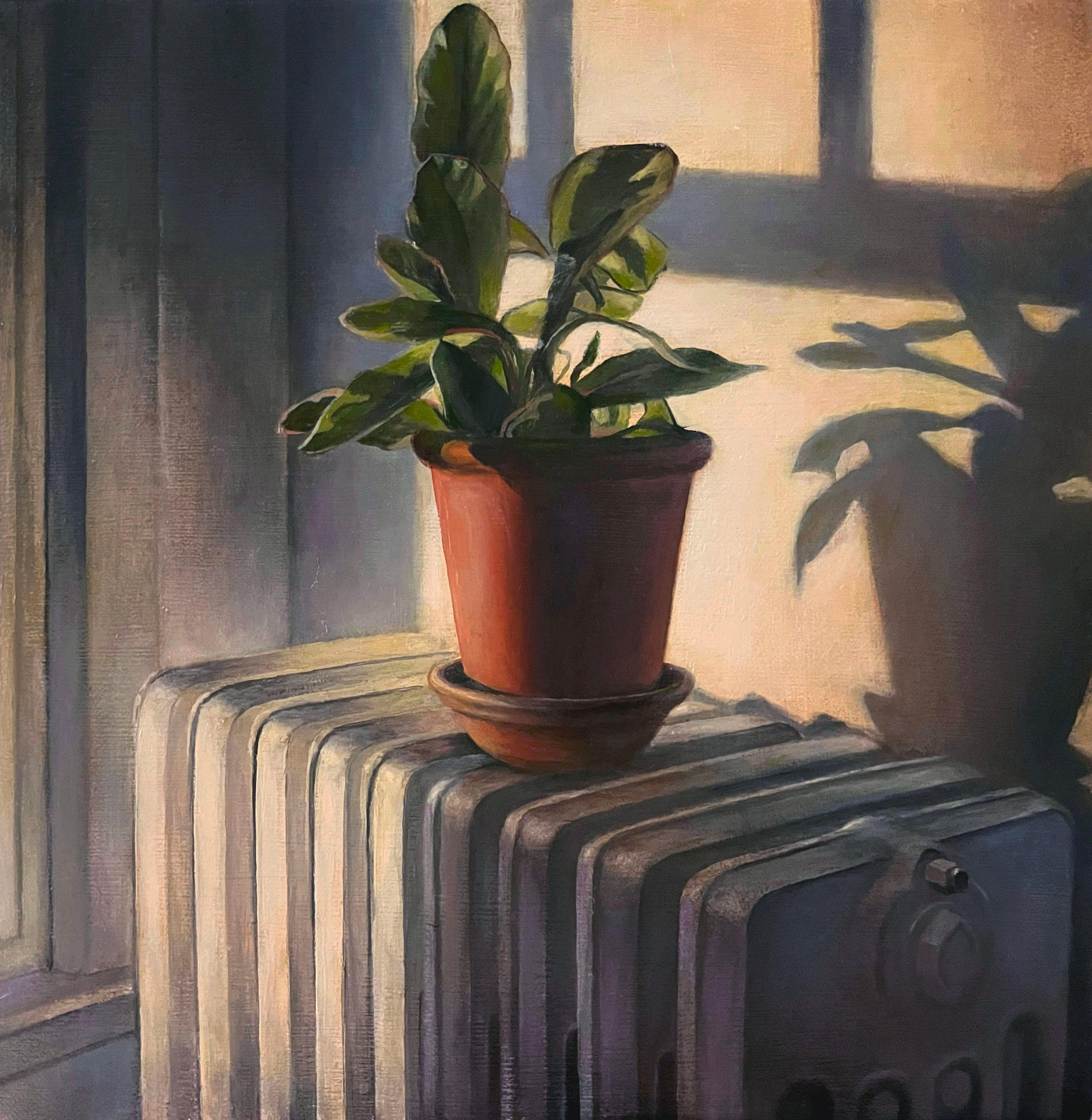 Michael Banning Interior Painting - Houseplant in Light