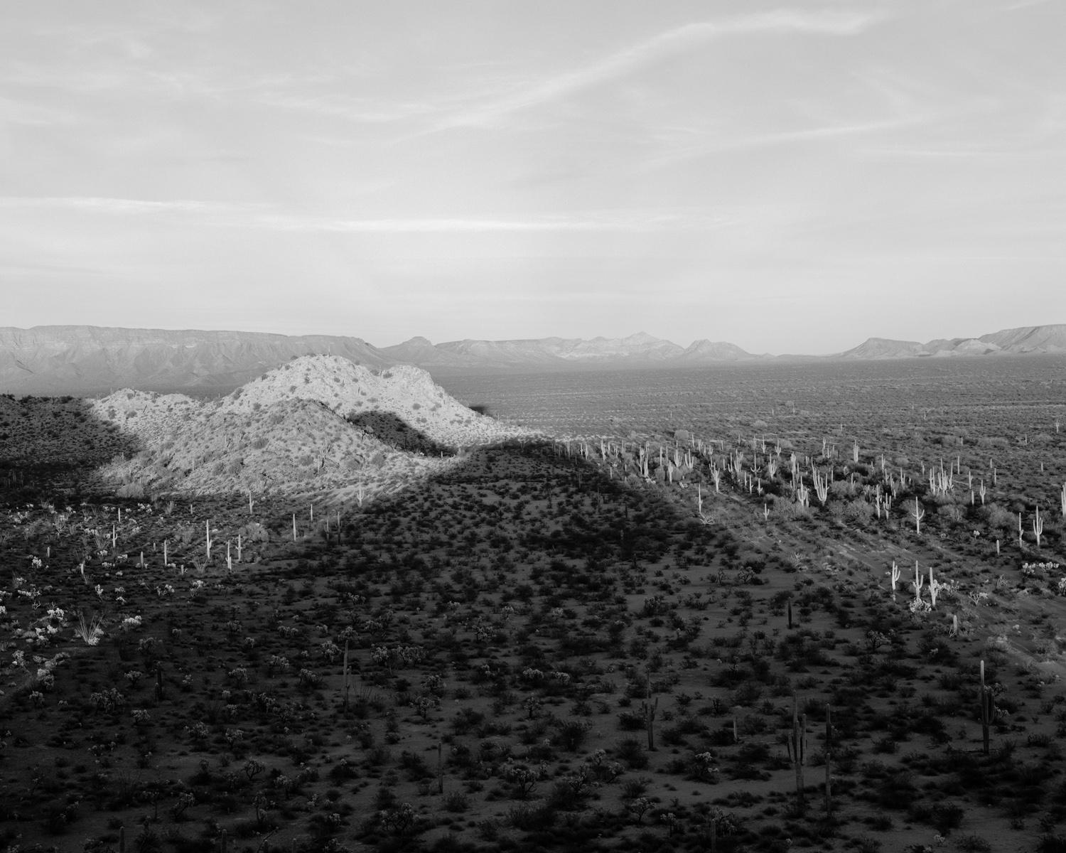 Michael Berman. 96W_091 Shadow, Cabeza Prieta National Wildlife Refuge, Arizona. Archival pigment ink print. Image Size: 20x25".  Edition of 12. Signed, dated, titled, and editioned on print verso. Signed, dated, and editioned on print recto. 