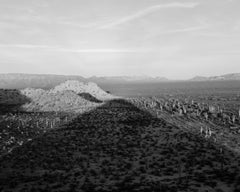 Michael Berman. 96W_091 Shadow, Cabeza Prieta National Wildlife Refuge, Arizona.