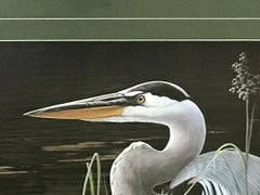 Stampa d'arte contemporanea sulla fauna selvatica di Michael Budden Airone azzurro dipinto su tappetino