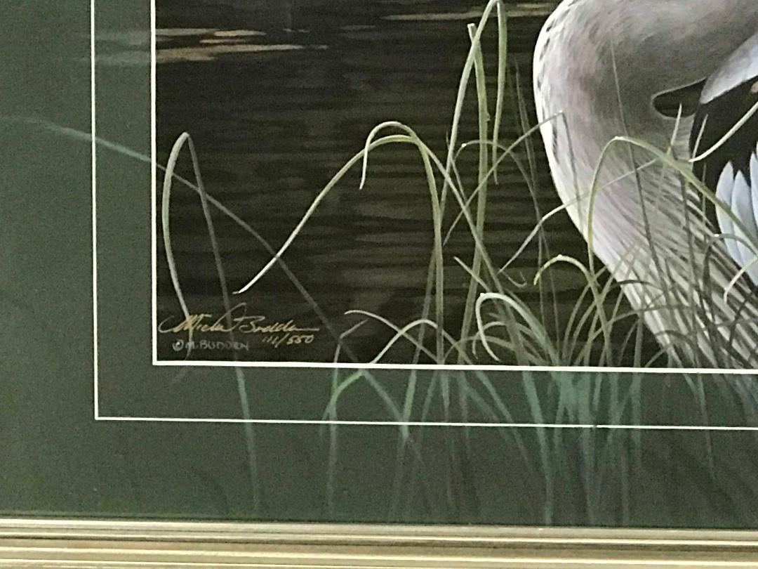 Stampa d'arte contemporanea sulla fauna selvatica di Michael Budden Airone azzurro dipinto su tappetino in vendita 2