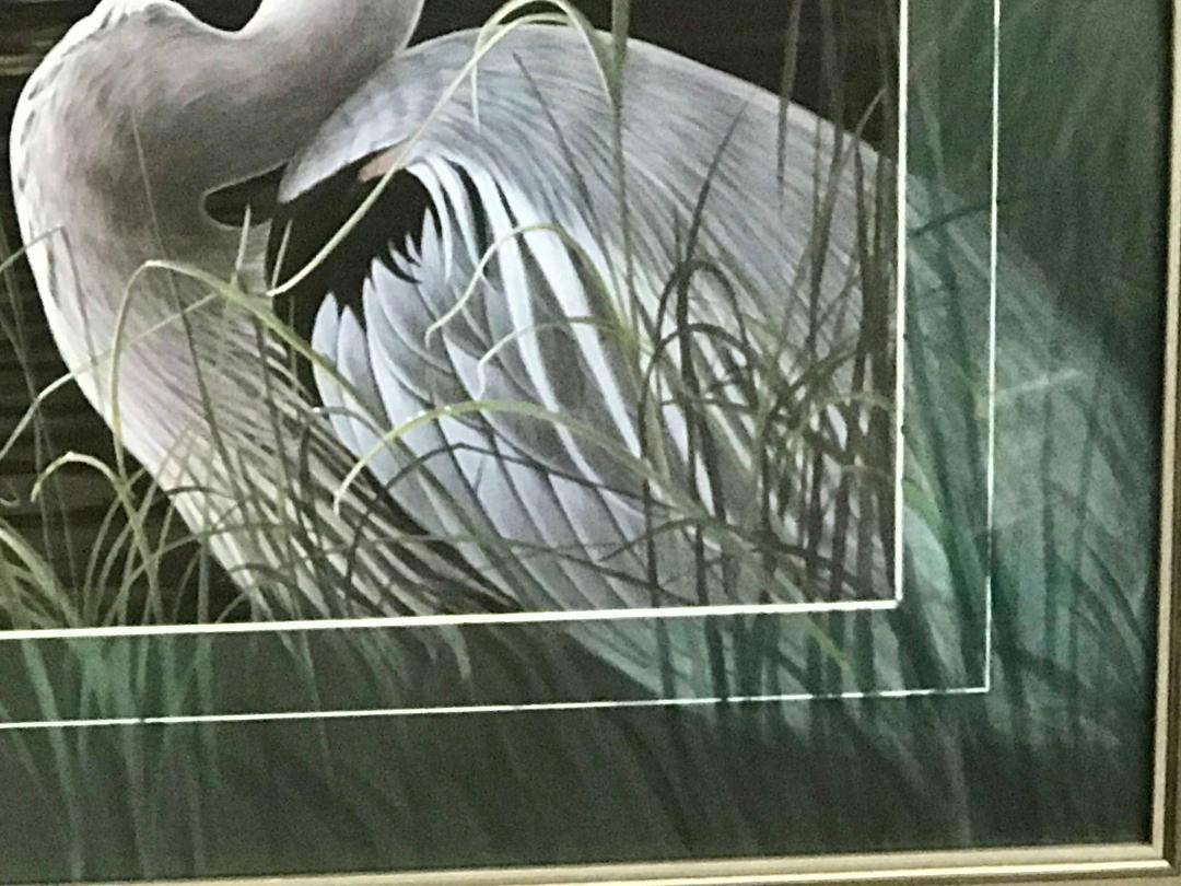 Stampa d'arte contemporanea sulla fauna selvatica di Michael Budden Airone azzurro dipinto su tappetino in vendita 3