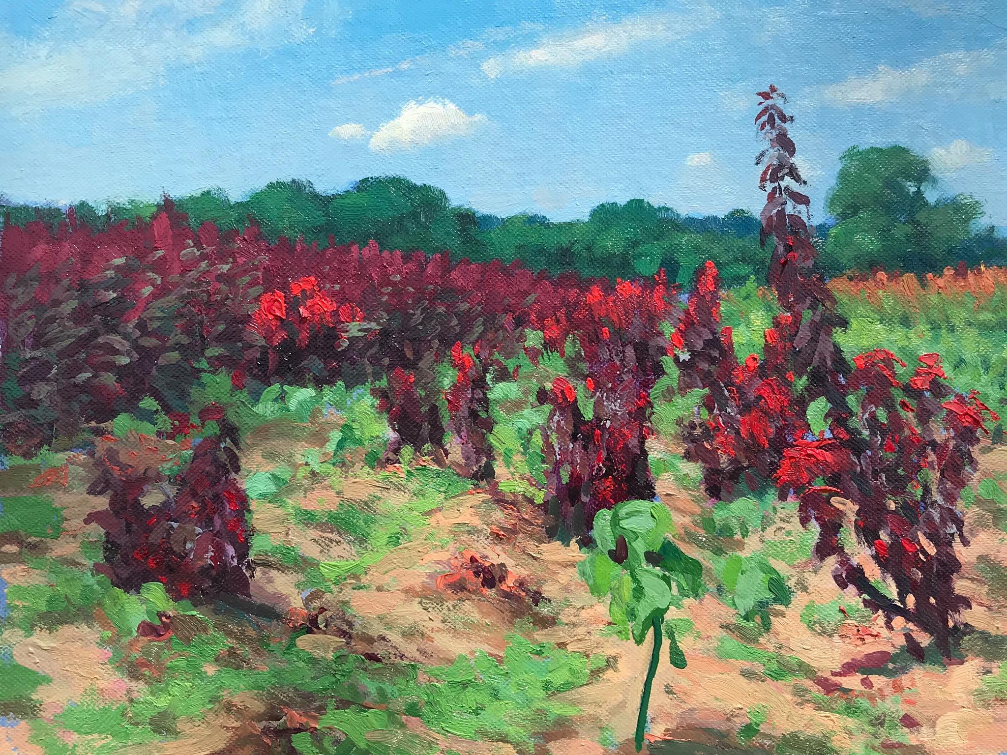 Floral Landscape Flower Fields III Impressionistic Oil Painting Michael Budden For Sale 1