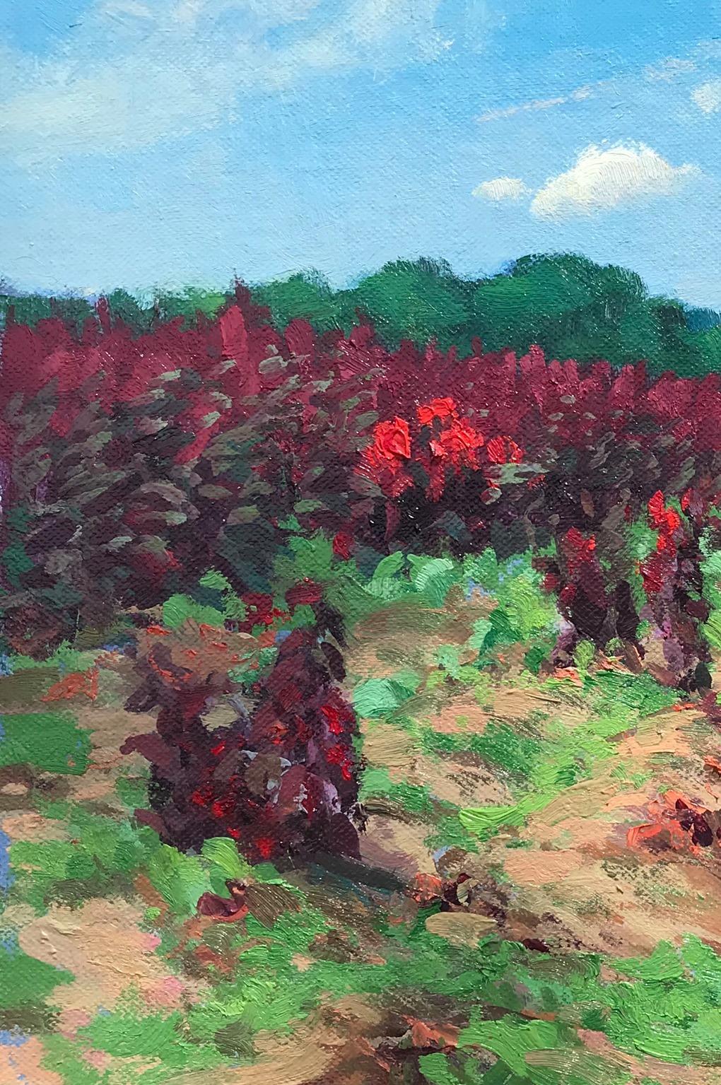 Paisaje floral Campos de flores III Pintura al óleo impresionista Michael Budden en venta 2