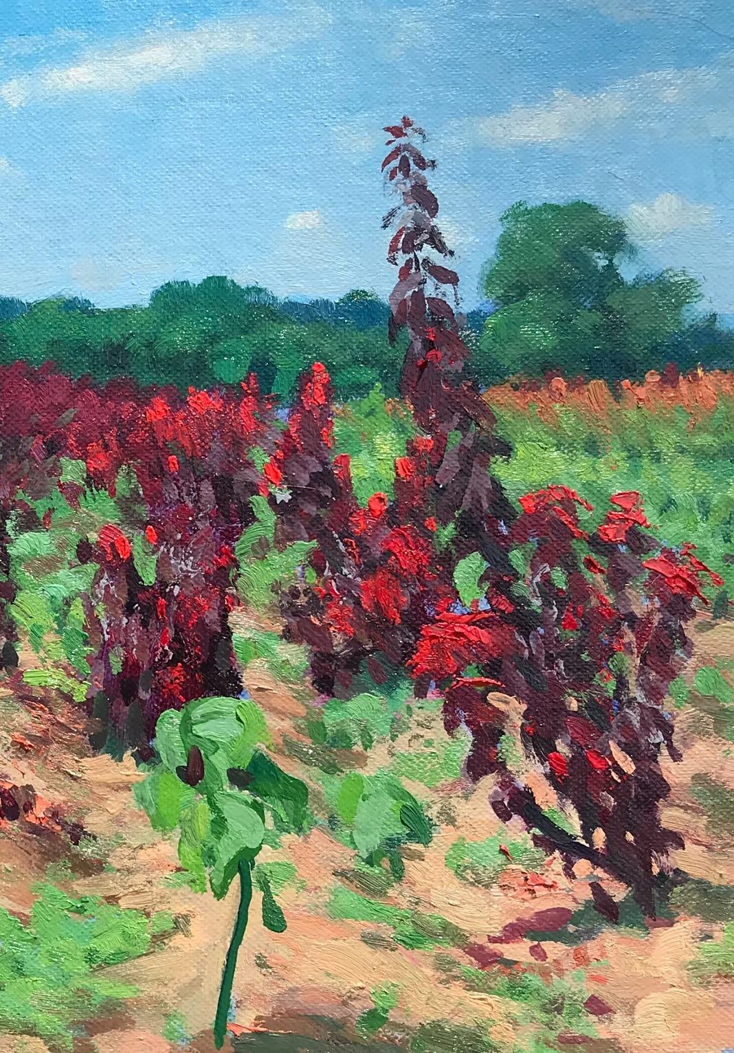 Paisaje floral Campos de flores III Pintura al óleo impresionista Michael Budden en venta 3