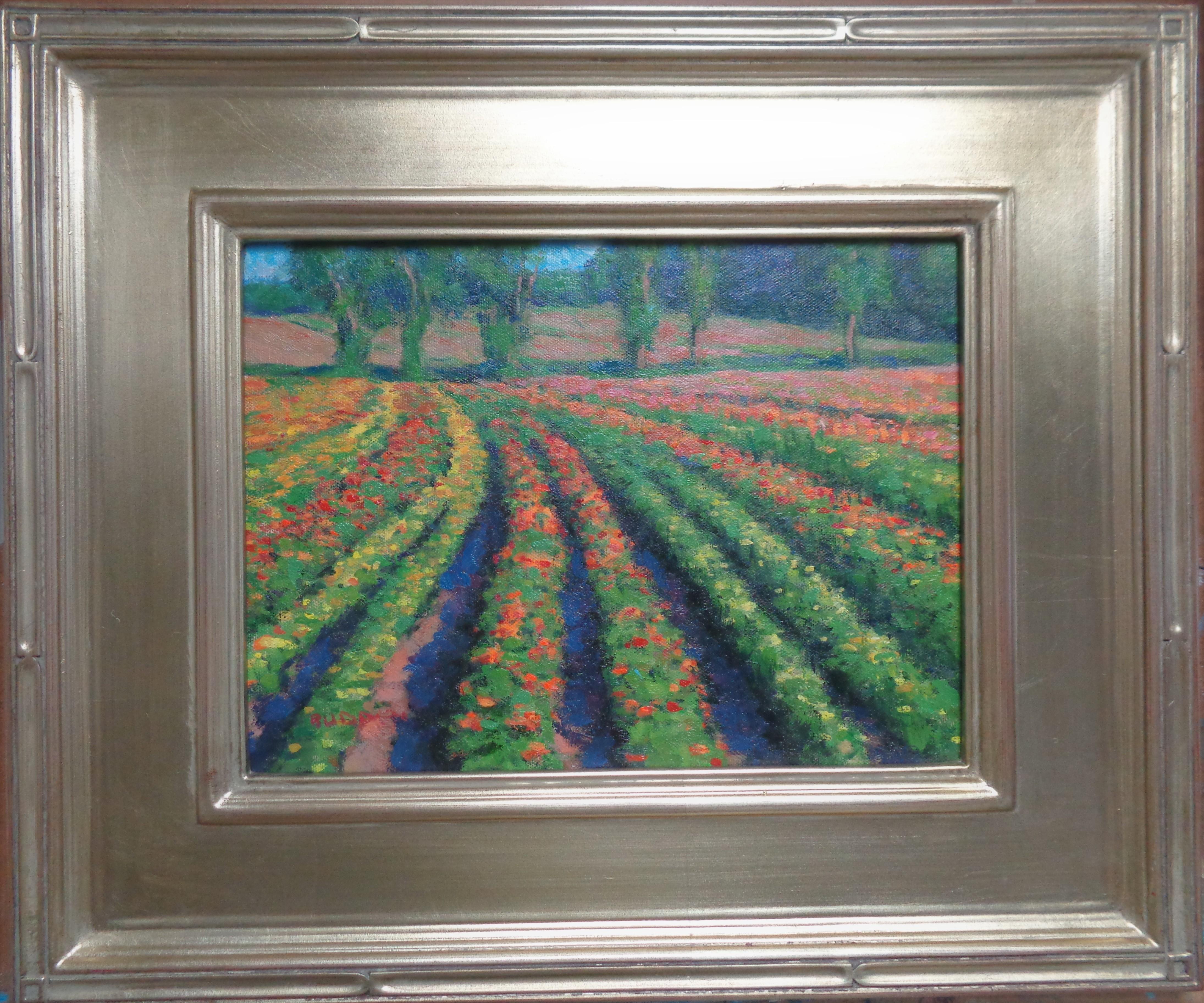 Campos de verano
Imagen 9 x 12
Campos de verano IV es una pintura al óleo sobre lienzo que muestra la hermosa luz de un día de verano brillando sobre un hermoso campo de flores. Este cuadro fue pintado al aire libre, en estilo