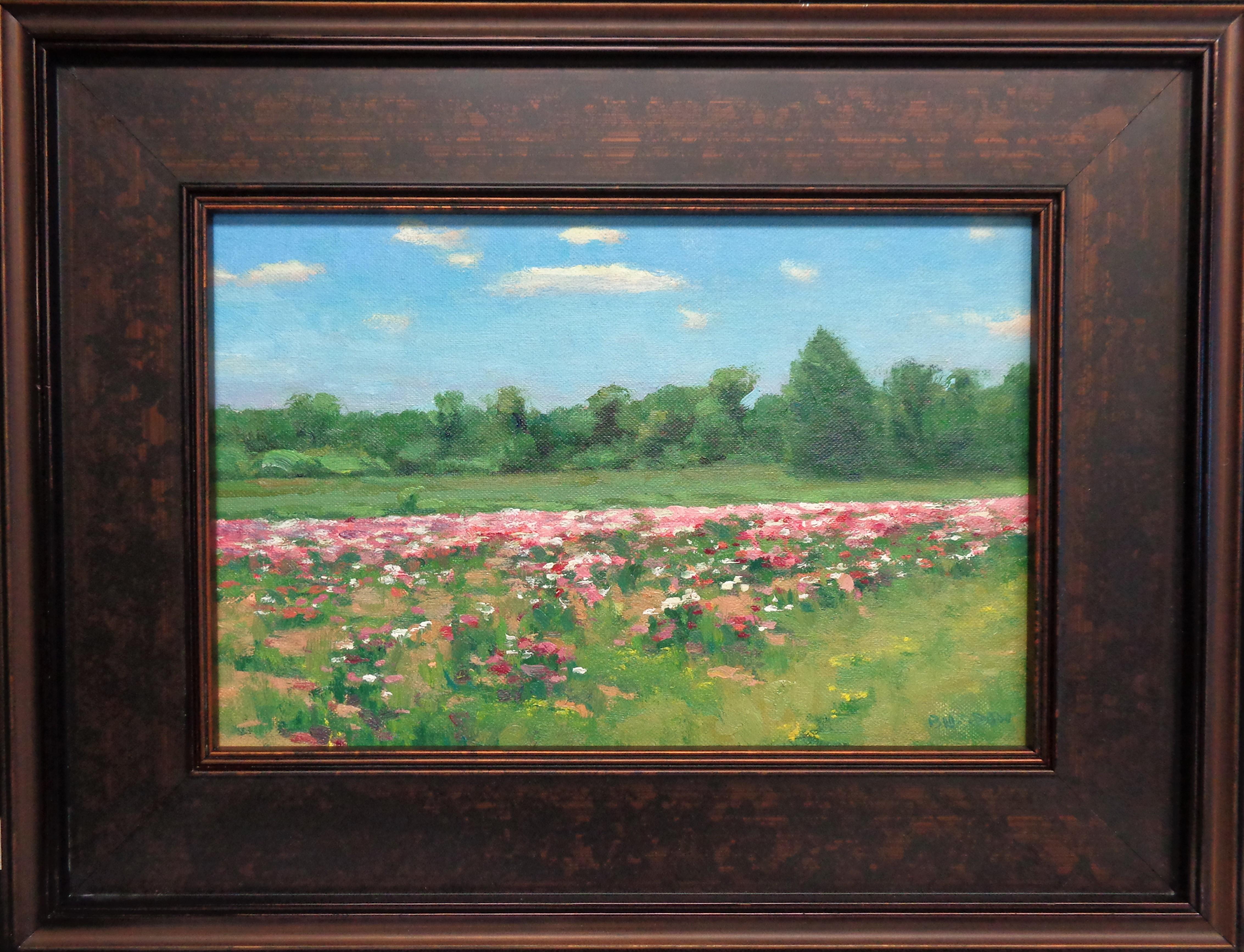 Show Stoppers is an oil painting on canvas panel that showcases the beautiful light of a summer day shinning on a Show Stopping field of flowers painted direct on location en plein air.  This was an incredible day with perfect conditions both