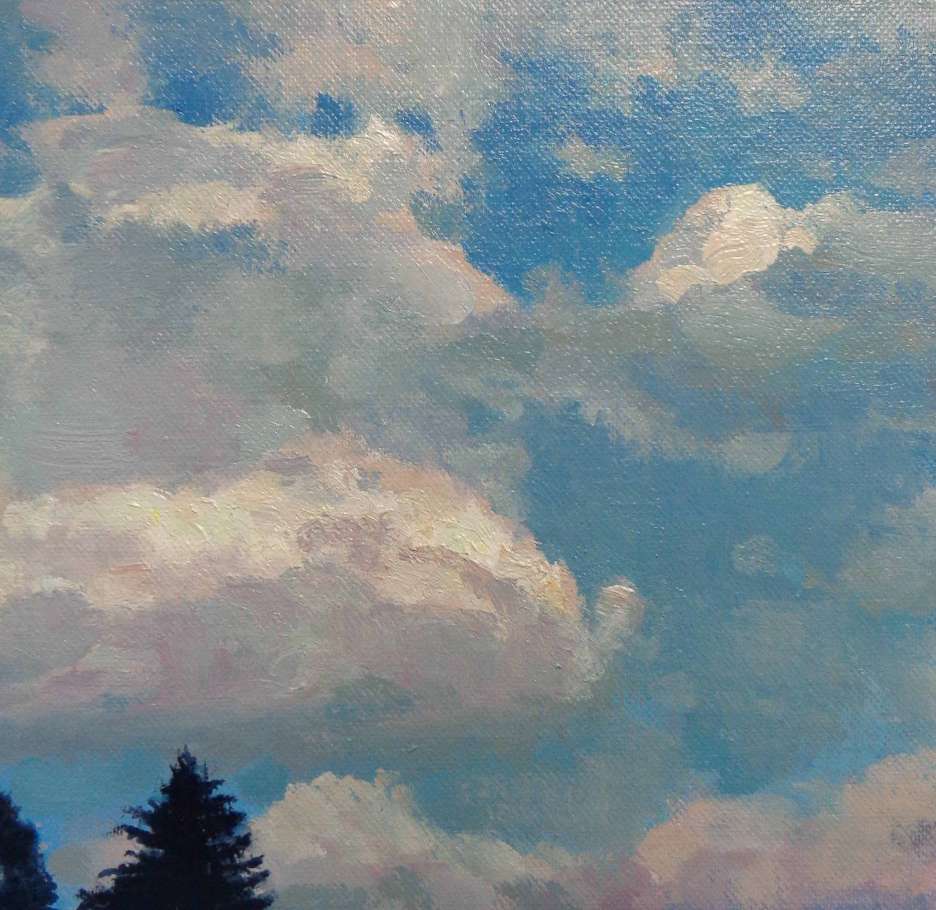 Impressionistische Landschaft Wolke Ölgemälde Michael Budden Himmel Studie im Angebot 2