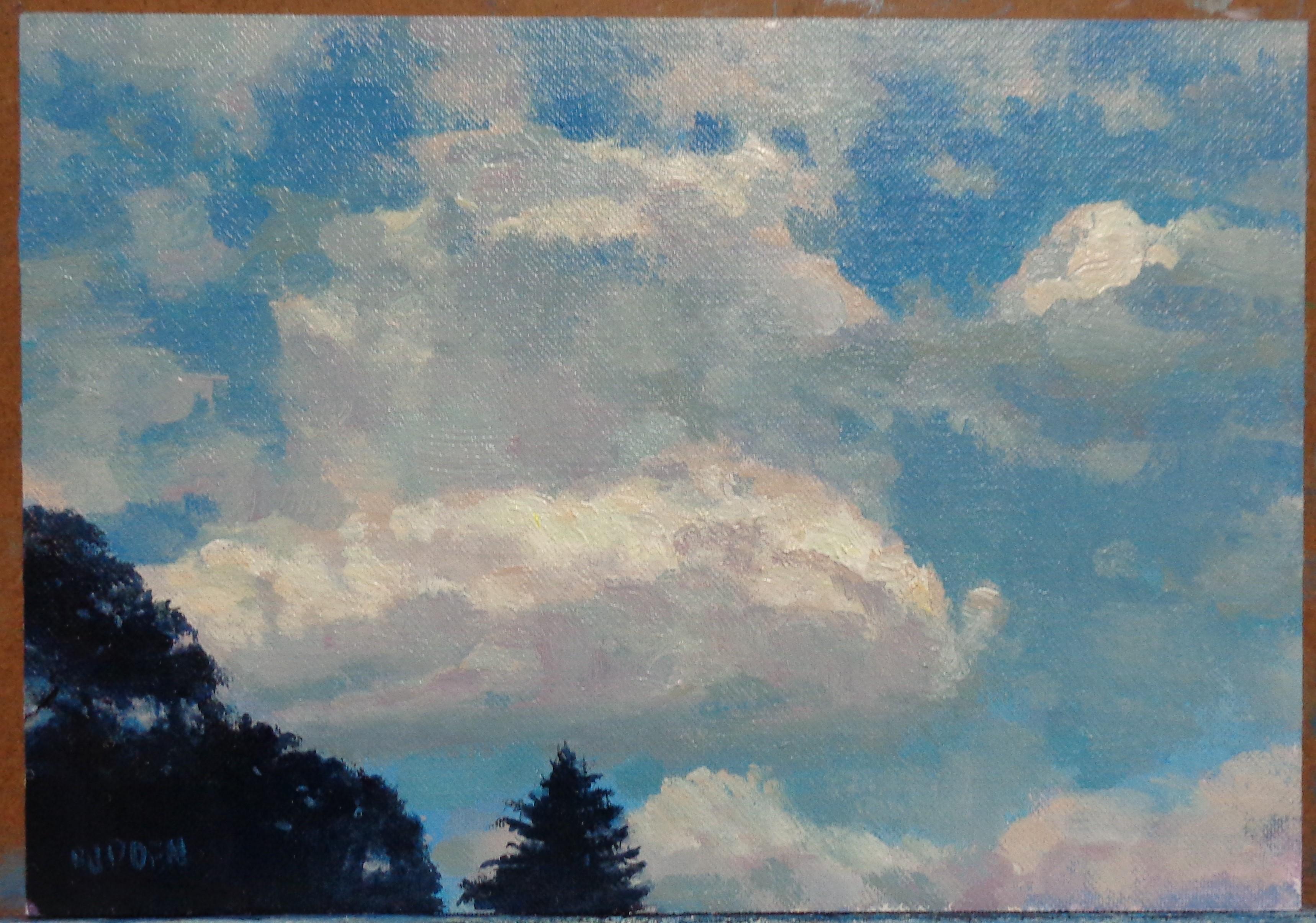 Sky Study
oil/panel
7 x 10 image size unframed, is an oil on panel  completed in the studio. The painting exudes the rich qualities of oil paint with bright strong color, a variety of lost and found edges, visible brush work and a concentration on a