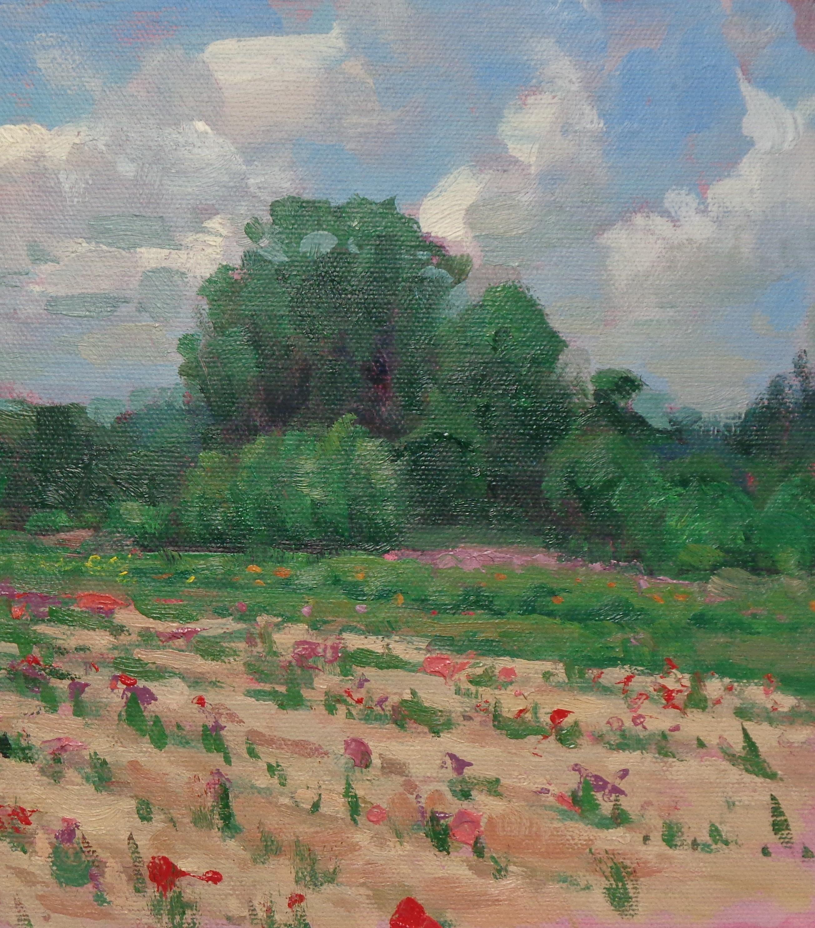  Impressionistic Landscape Oil Painting Michael Budden Early Spring Flower Farm For Sale 2
