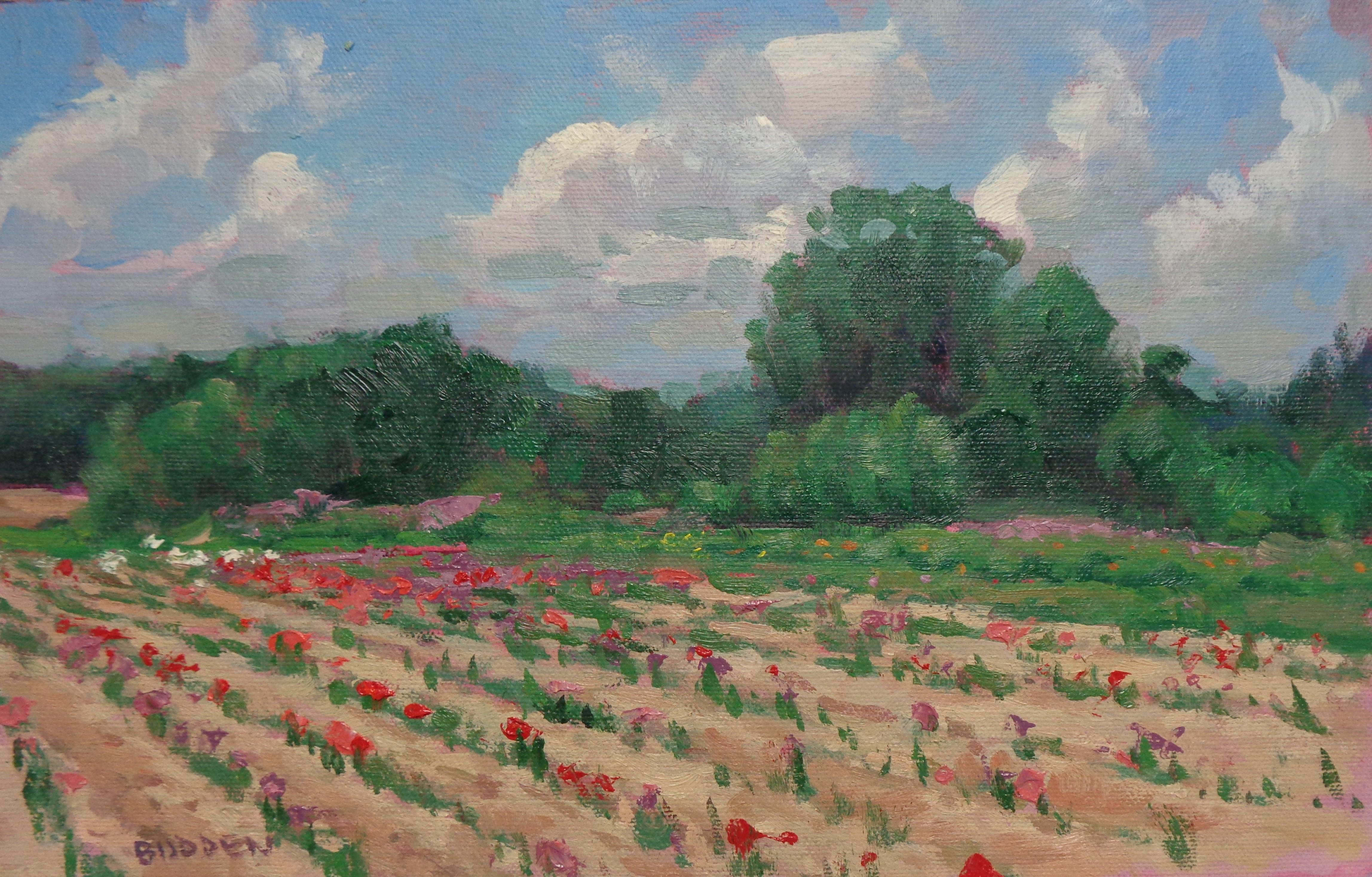 Durr's Flowers is a plein air oil painting on canvas panel that showcases the beautiful light of an early spring day with a view of a flowering field near my studio.  Plein air painting yields a looser brood brush stroke quality to the painting