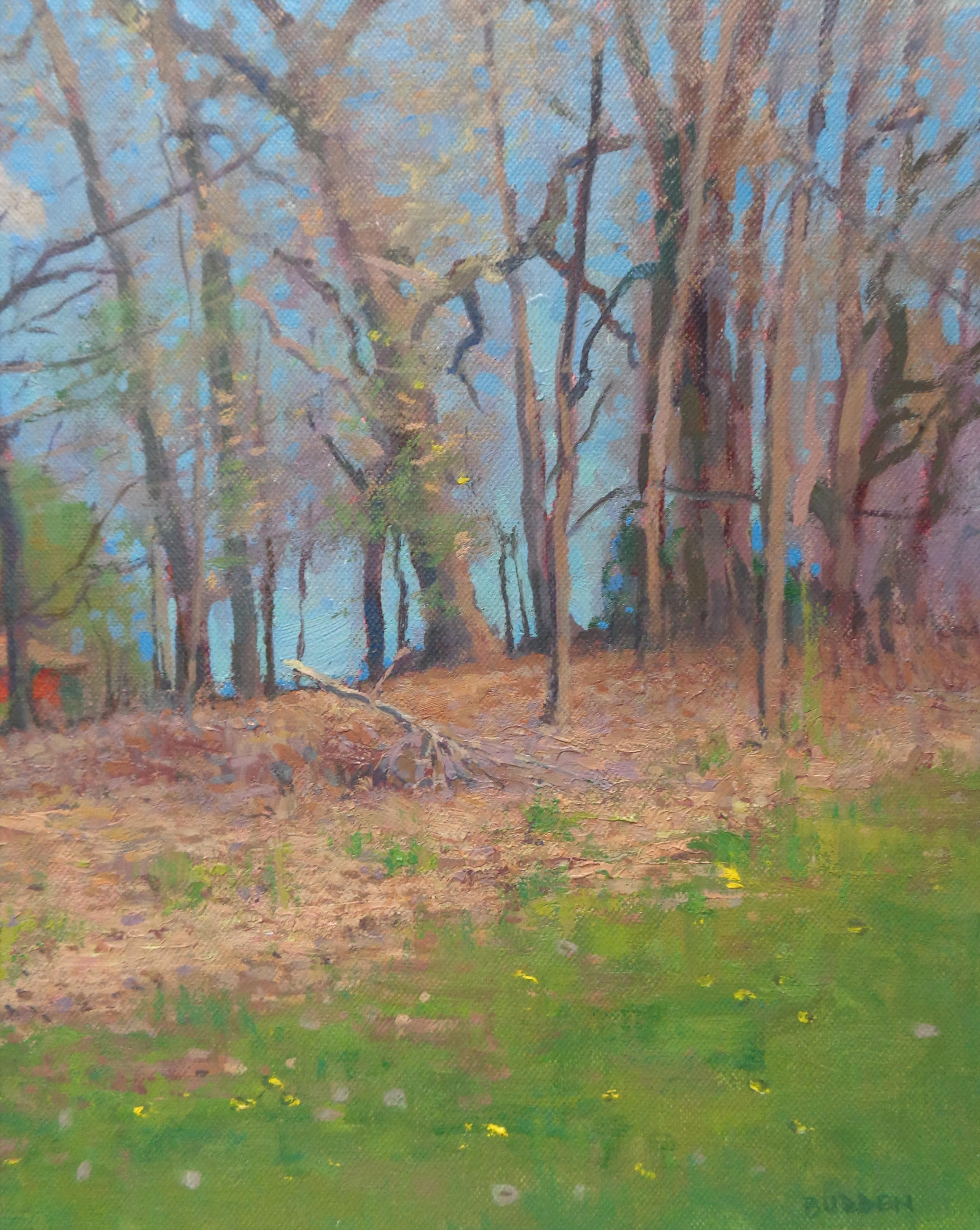 Michael Budden - Impressionistic Landscape Oil Painting Michael Budden ...