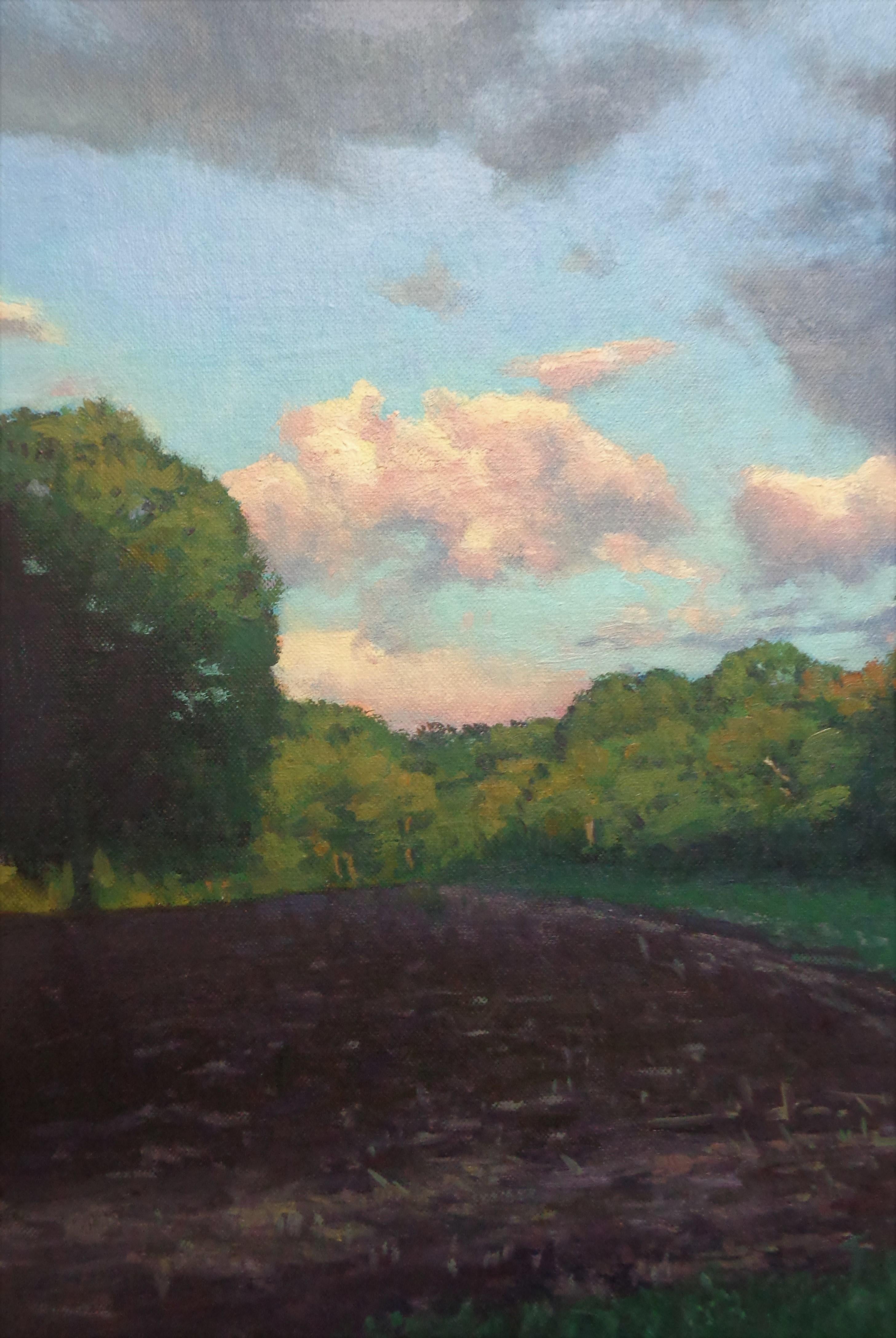 Pittura impressionistica di paesaggio Michael Budden Serie Cieli Bellissimi in vendita 1