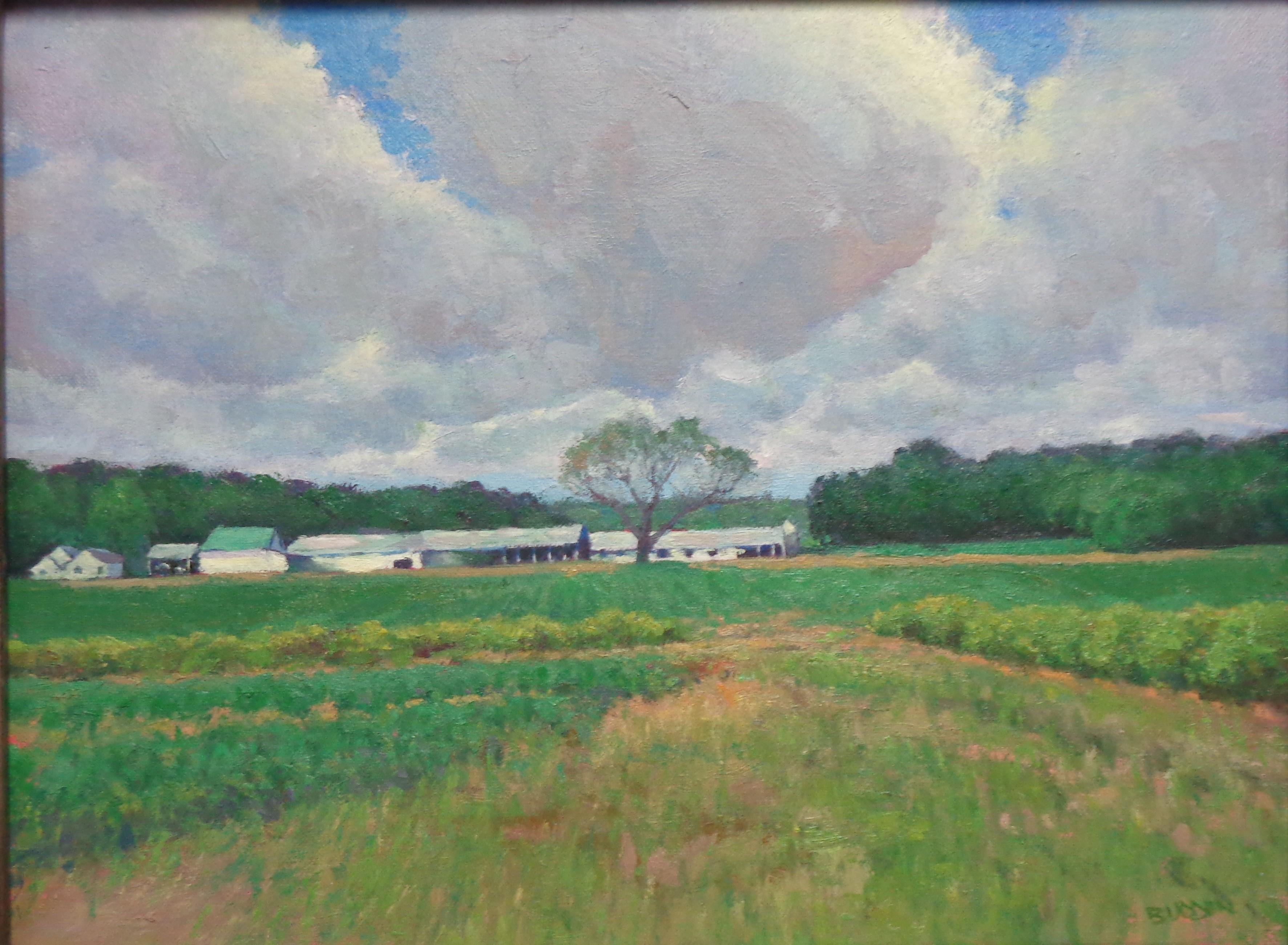 Pittura impressionistica di paesaggio Michael Budden Serie Cieli Bellissimi in vendita 1