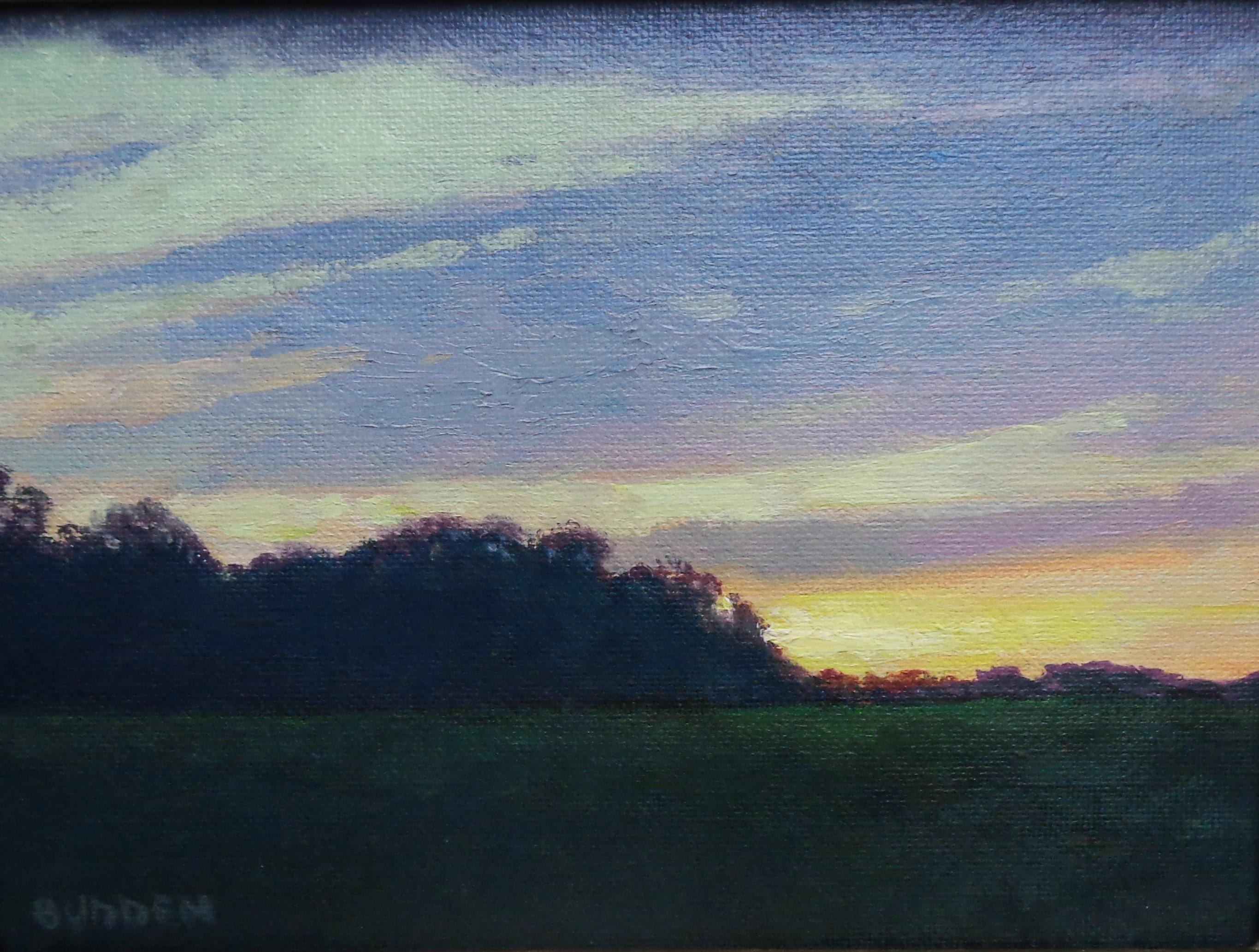 Pintura Impresionista de Paisajes Michael Budden Serie Cielos Hermosos en venta 1
