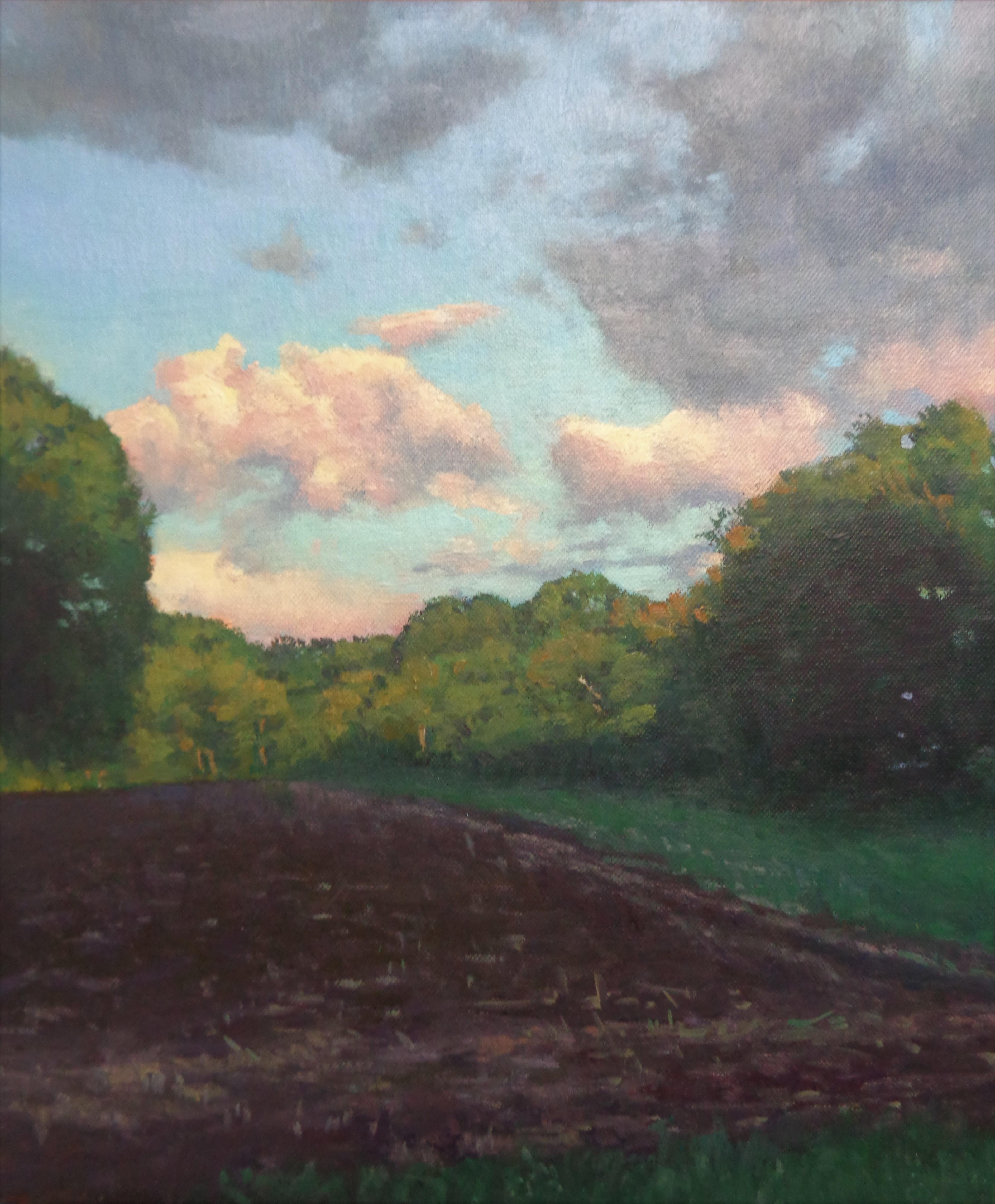 Pittura impressionistica di paesaggio Michael Budden Serie Cieli Bellissimi in vendita 2