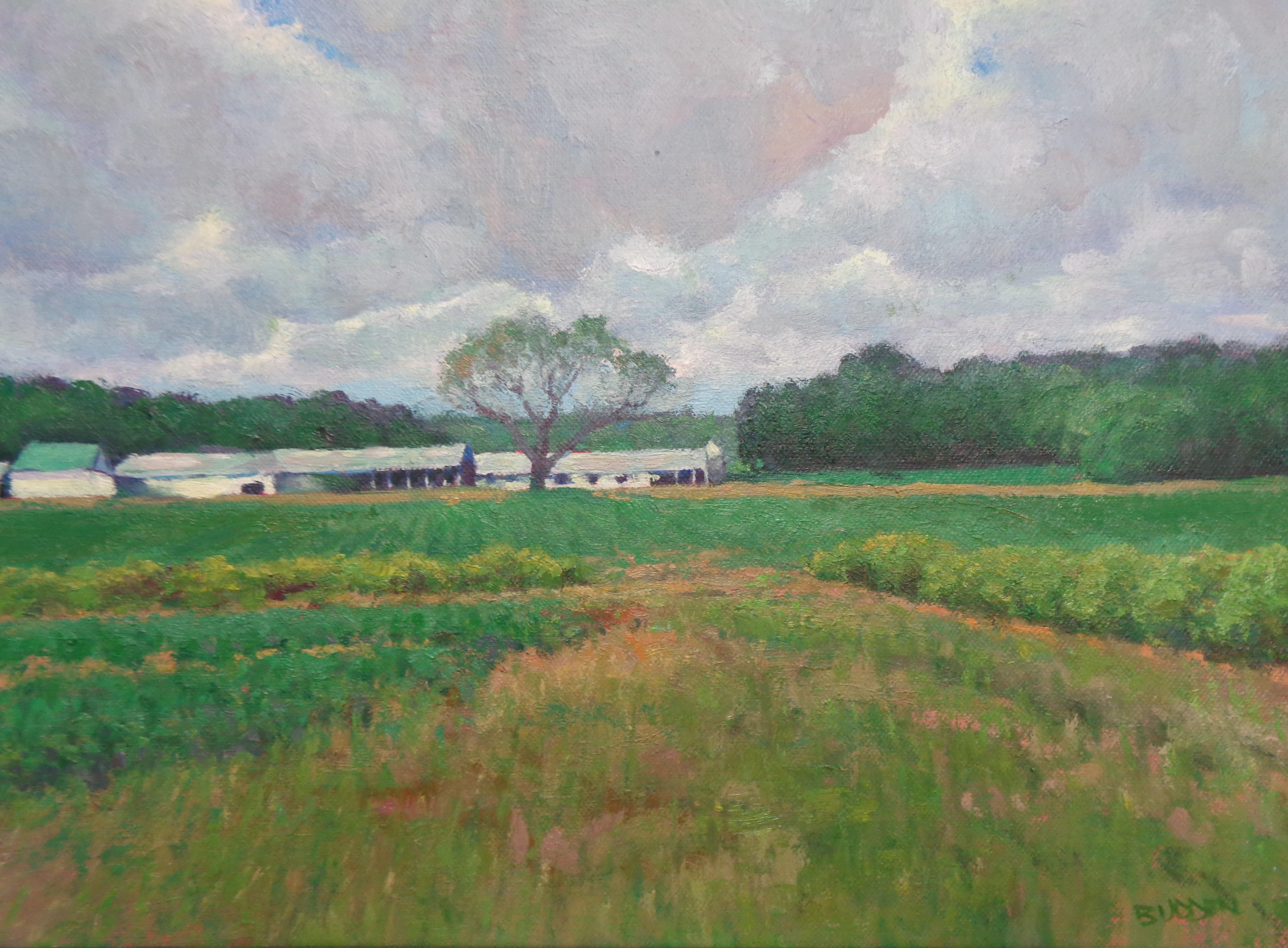 Pittura impressionistica di paesaggio Michael Budden Serie Cieli Bellissimi in vendita 2