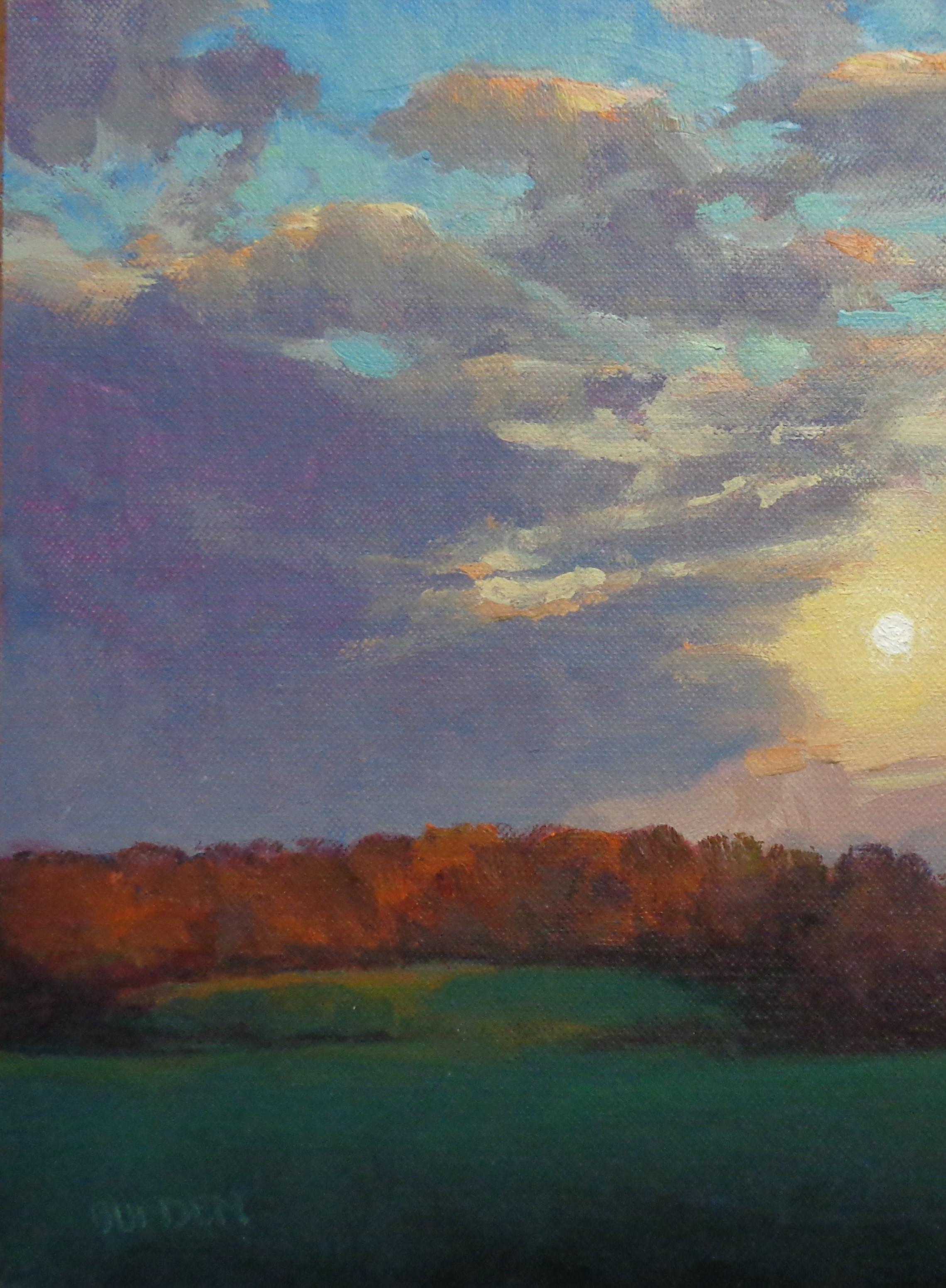 Pintura Impresionista de Paisajes Michael Budden Serie Cielos Hermosos 2