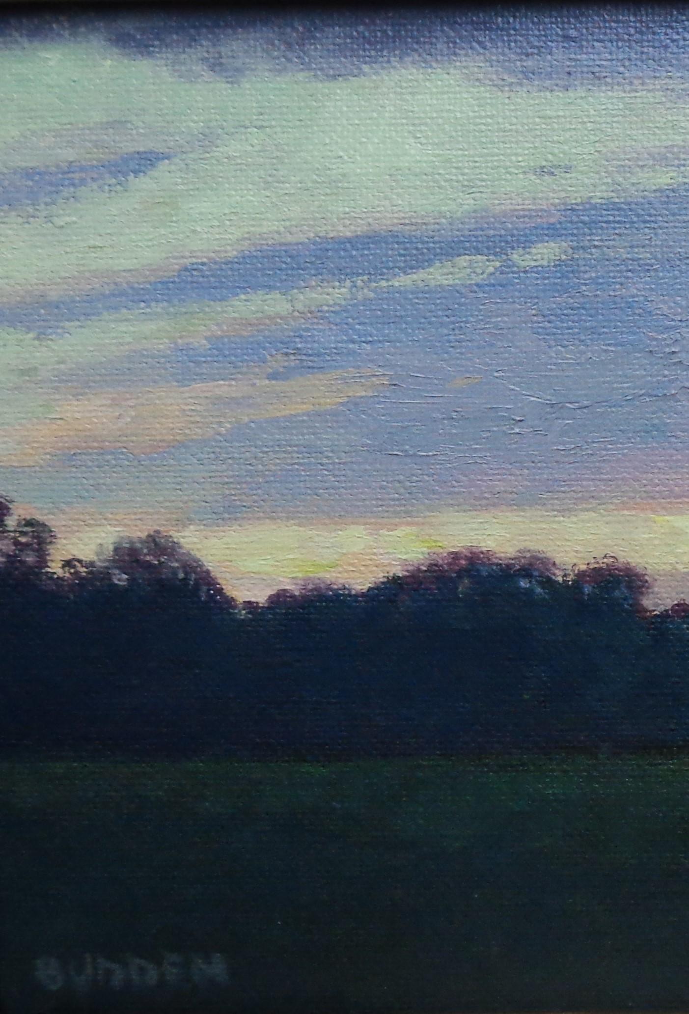 Pintura Impresionista de Paisajes Michael Budden Serie Cielos Hermosos en venta 2