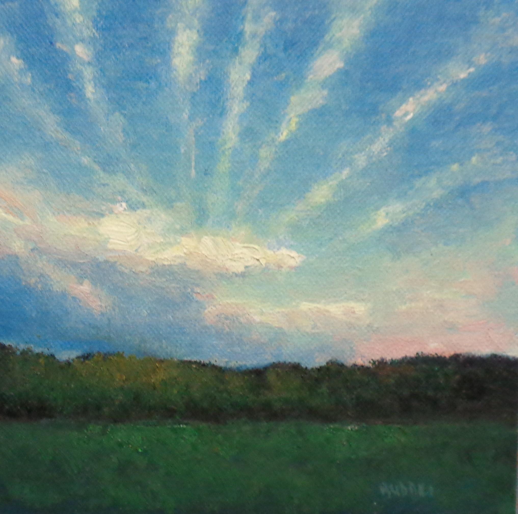 Beautiful Skies Series
oil/panel 6 x 8 image
Beautiful Skies is an oil painting on canvas panel by award winning contemporary artist Michael Budden that showcases a beautiful rural landscape with a dramatic sunlight sky with a luminous quality of