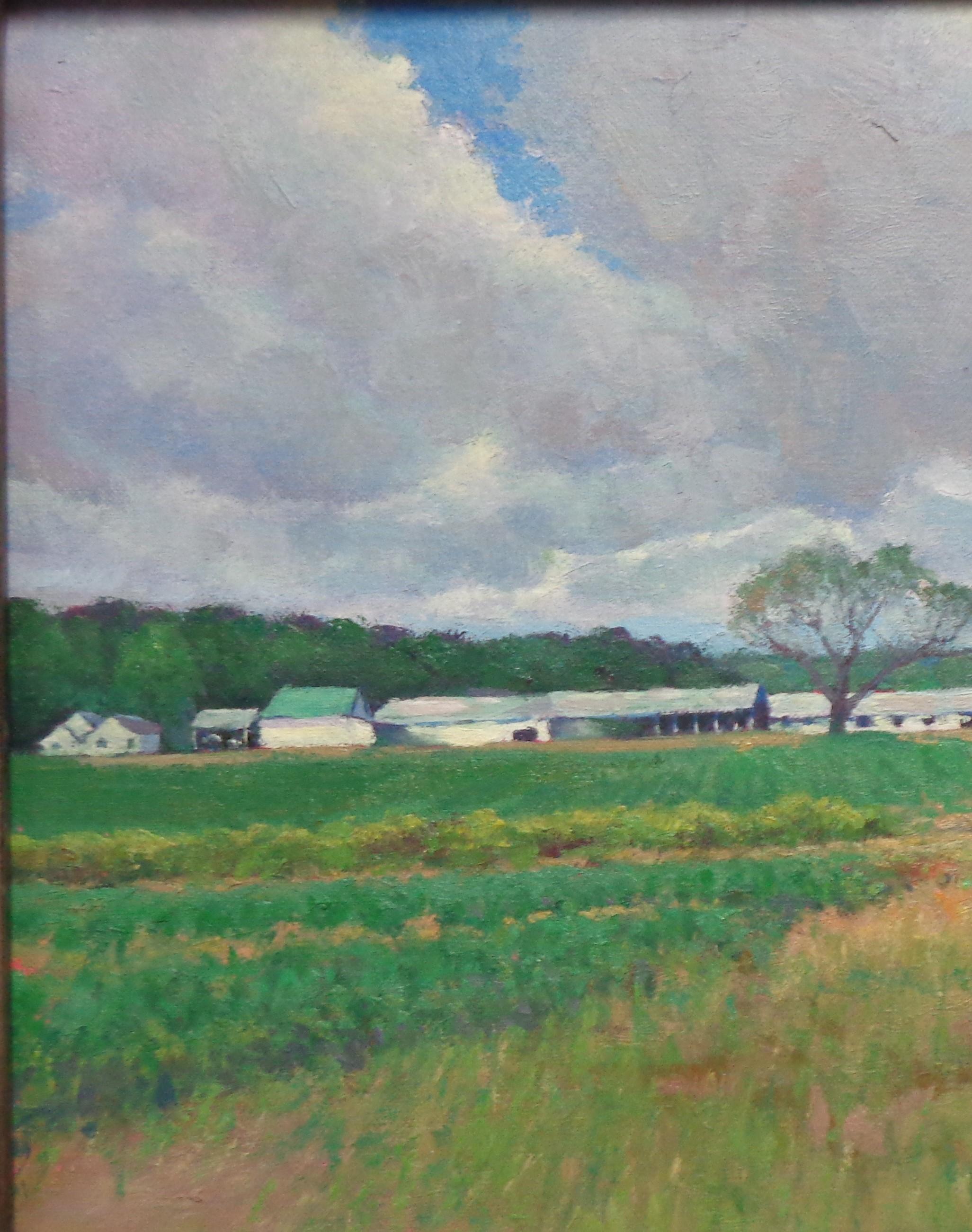 Pittura impressionistica di paesaggio Michael Budden Serie Cieli Bellissimi in vendita 3
