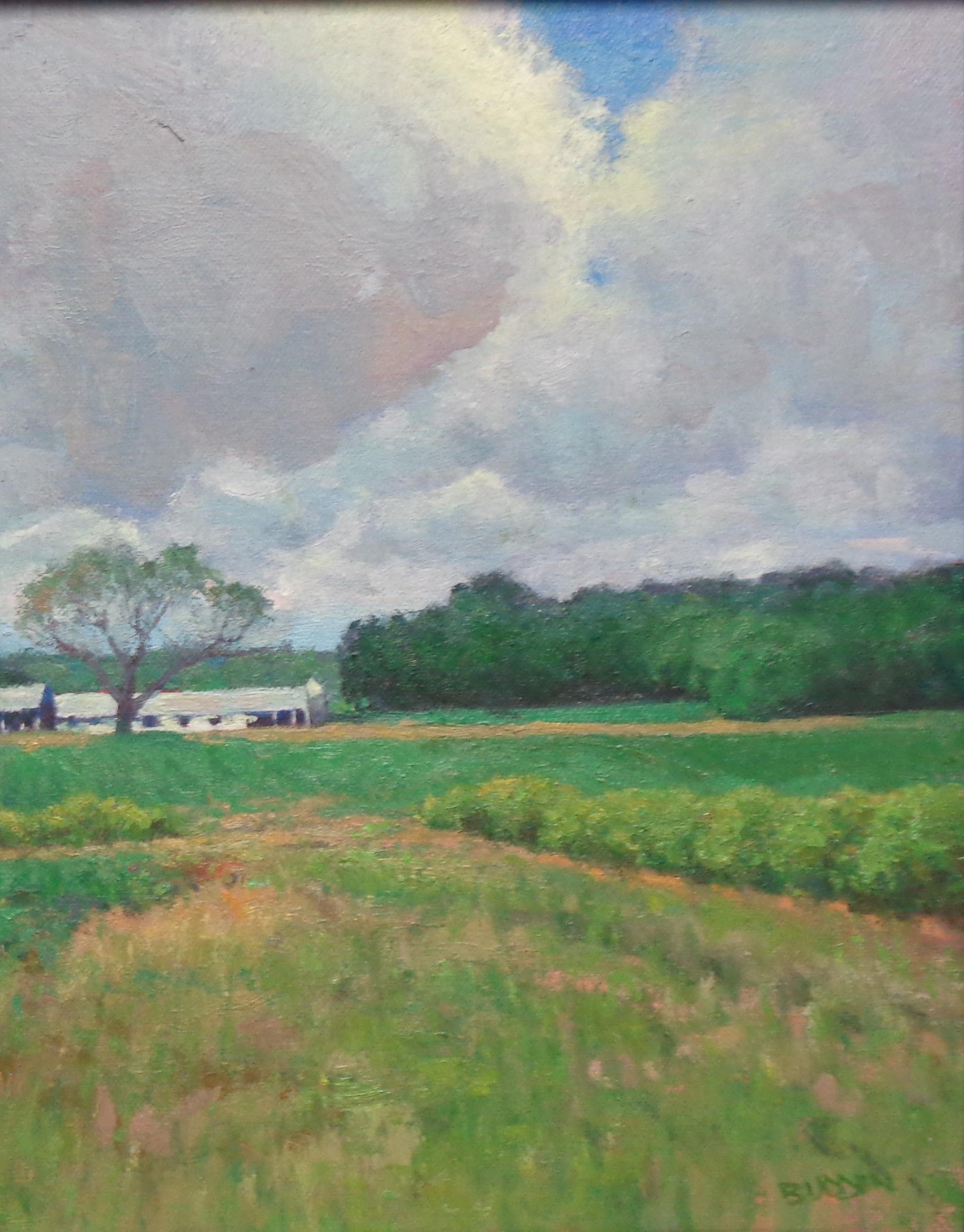 Pittura impressionistica di paesaggio Michael Budden Serie Cieli Bellissimi in vendita 4