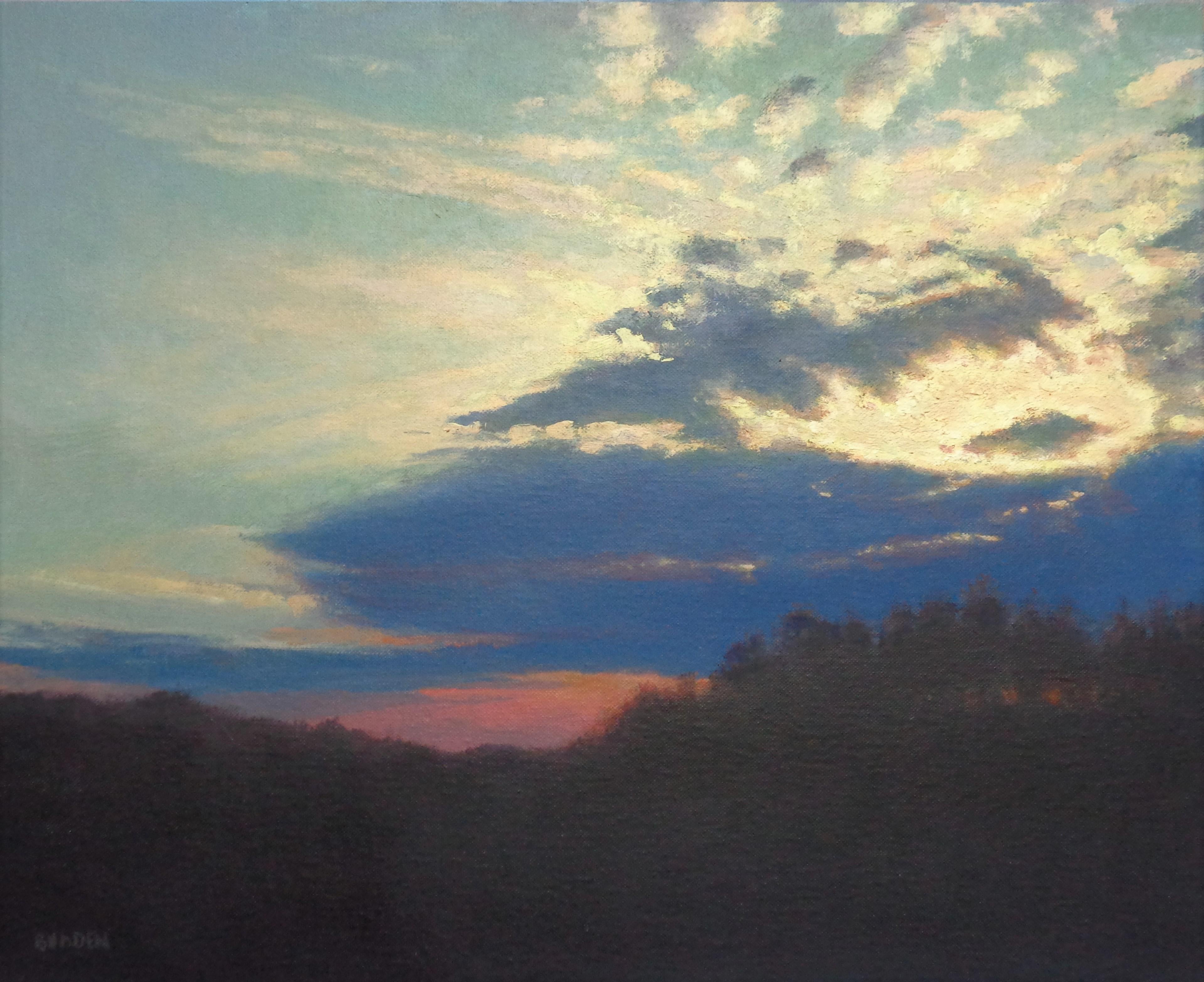 Beautiful Skies Series
oil/panel 16 x 20 image
Beautiful Skies is an oil painting on canvas panel by award winning contemporary artist Michael Budden that showcases a beautiful rural landscape with a dramatic sunlight sky with a luminous quality of