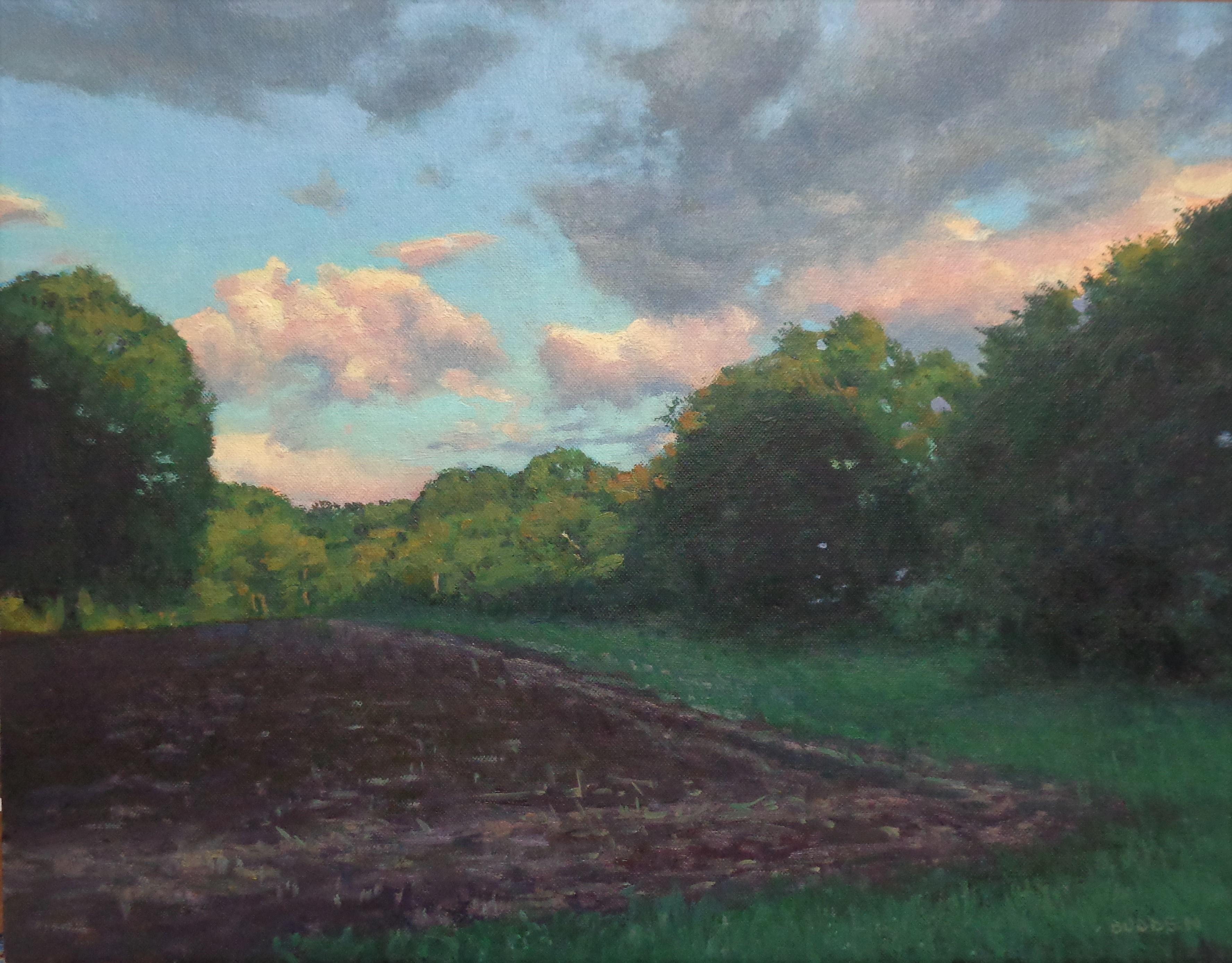 Serie Beautiful Skies
olio/pannello 14 x 18 immagine
Beautiful Skies è un dipinto a olio su tela del pluripremiato artista contemporaneo Michael Budden che mostra un bellissimo paesaggio rurale con un cielo drammatico alla luce del sole con una