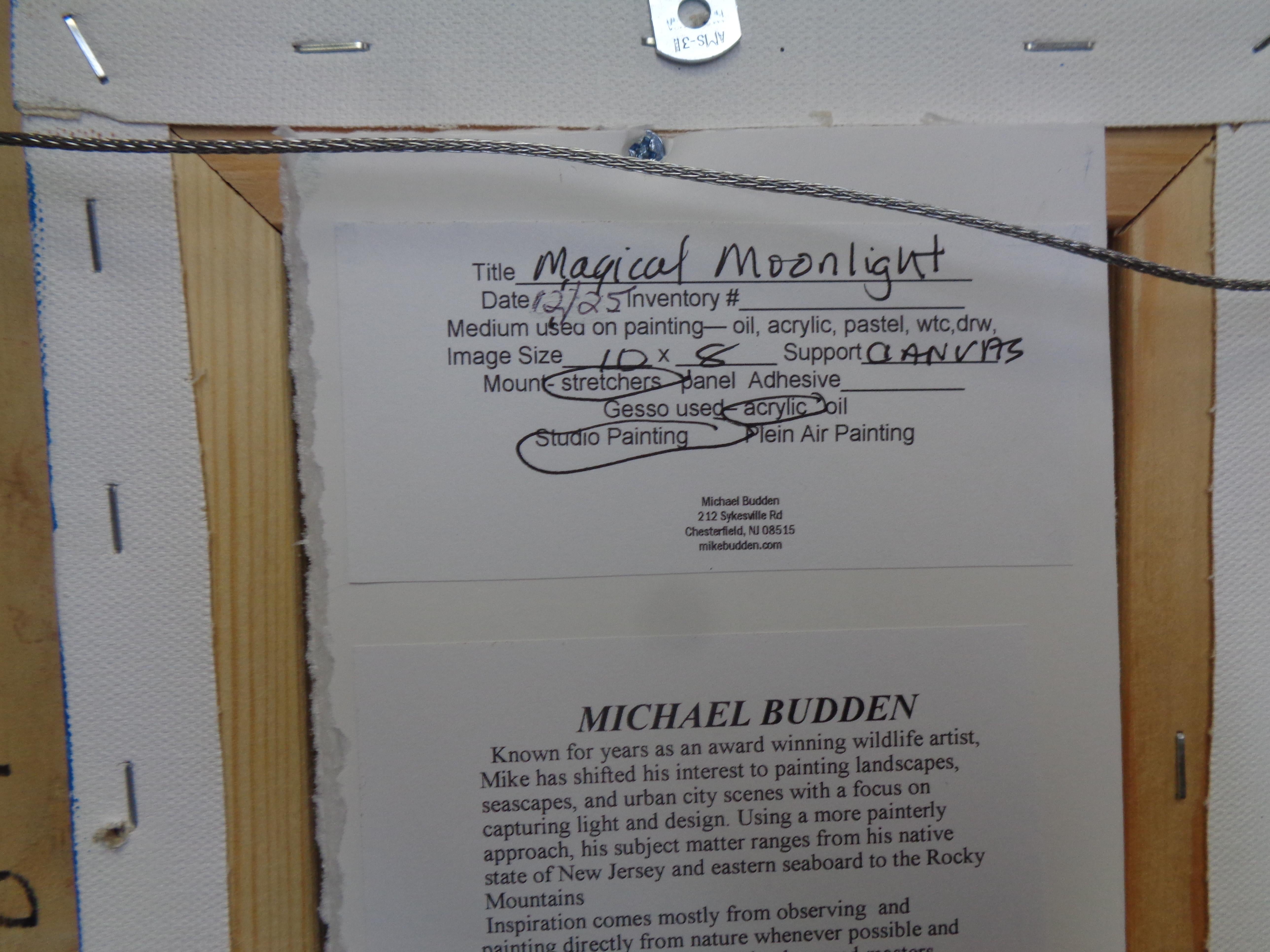 Impressionistico paesaggio marino al chiaro di luna dipinto a olio da Michael Budden in vendita 5