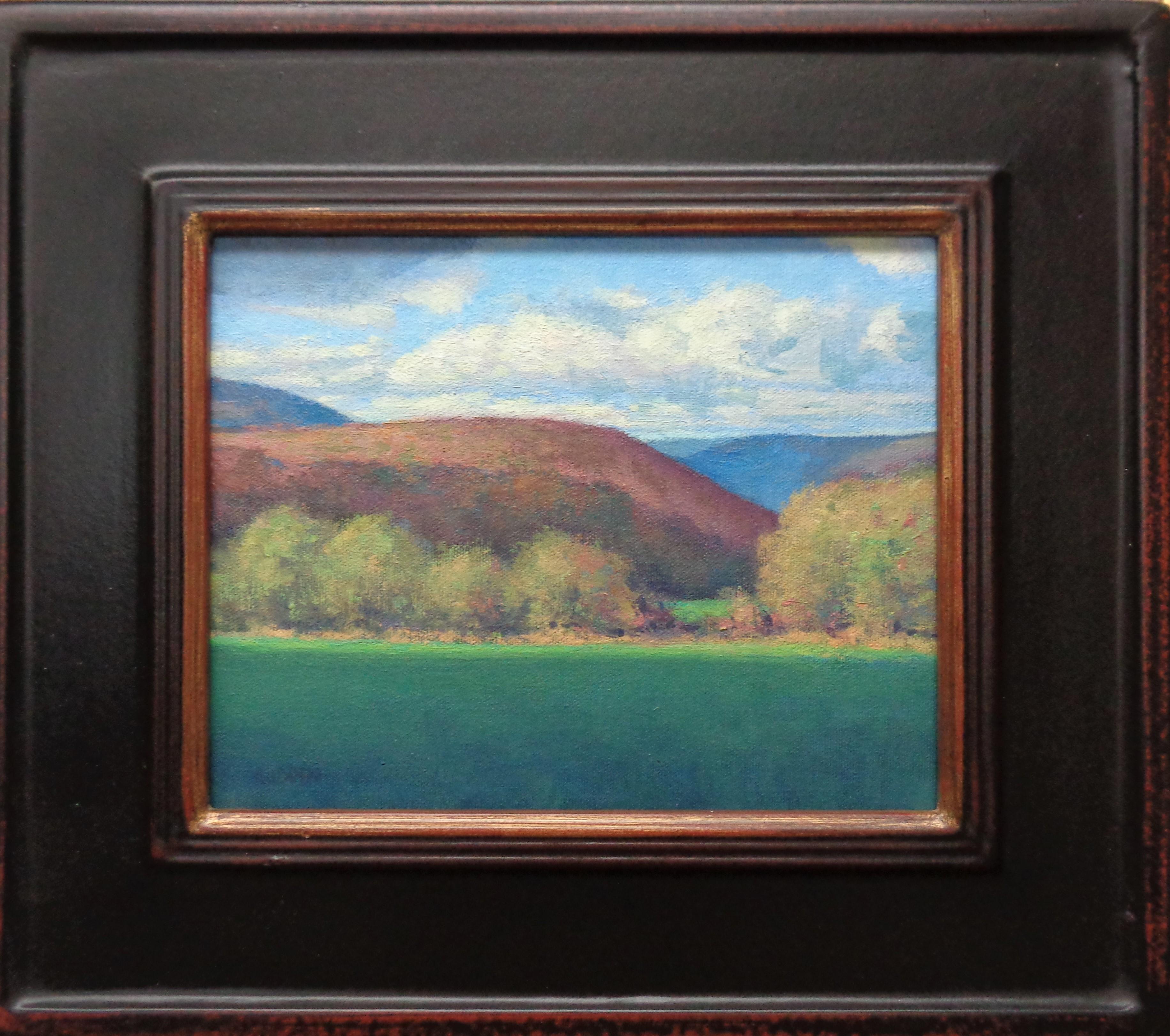 Vermont Hills 1
oil/panel
8n x 10 unframed 13.5 x 15.5 framed
Vermont Hills I is an oil painting on canvas panel that showcases the beautiful light shinning on a Vermont mountain scene in autumn. 
ARTIST'S STATEMENT
I have been in the art business