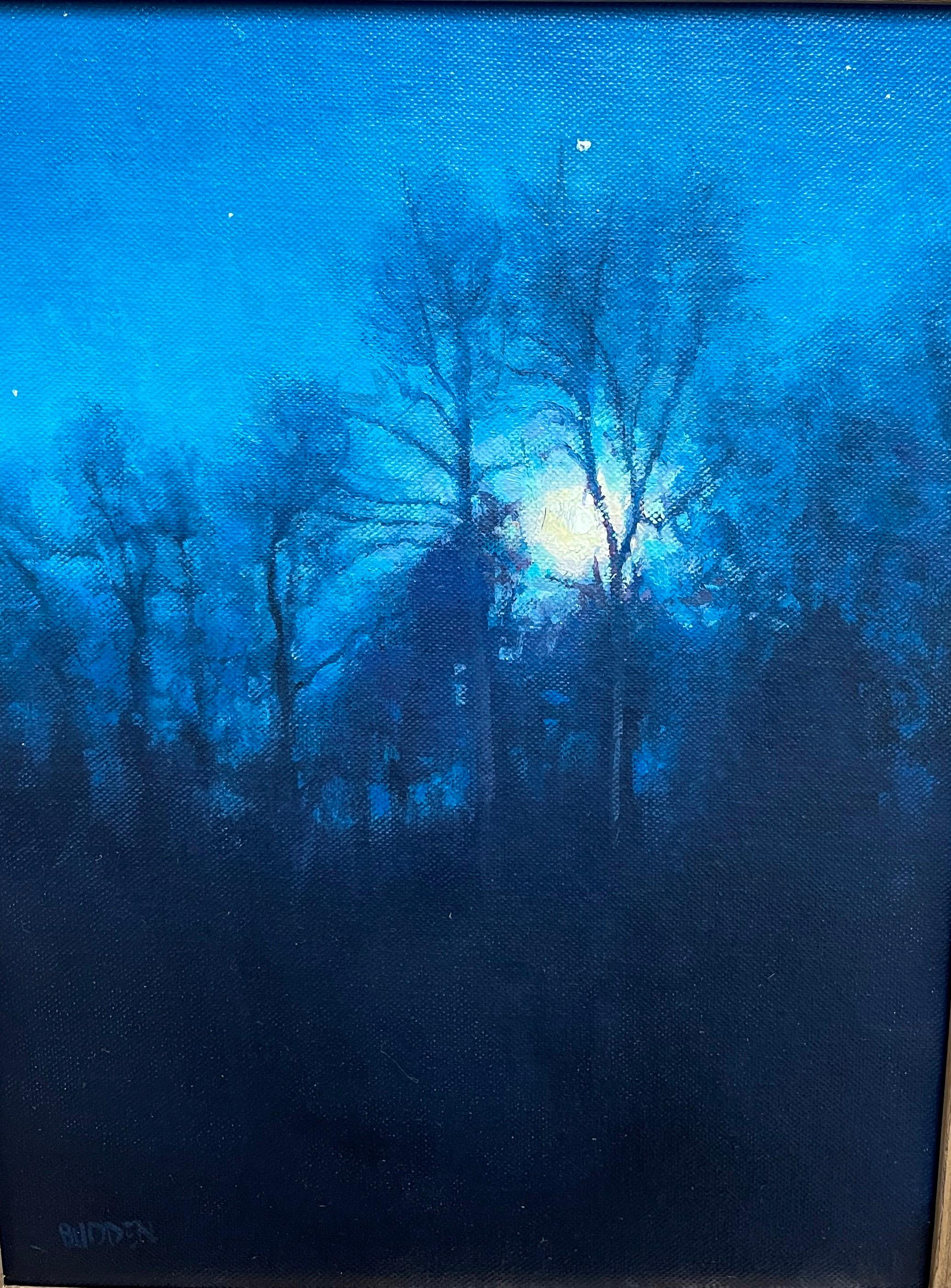  Impressionistic Nocturne Landscape Oil Painting Michael Budden Starry Night 1