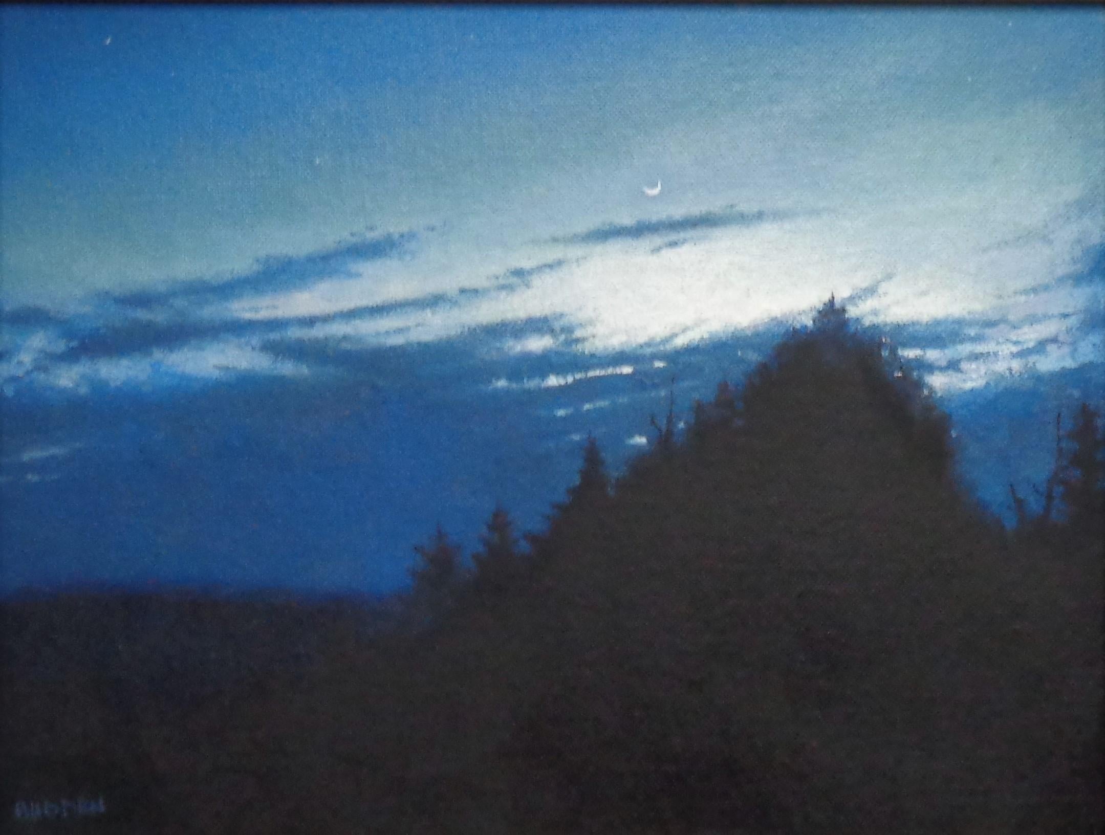 Impressionistic Nocturne Landscape Oil Painting Michael Budden Stars Moon Night For Sale 1