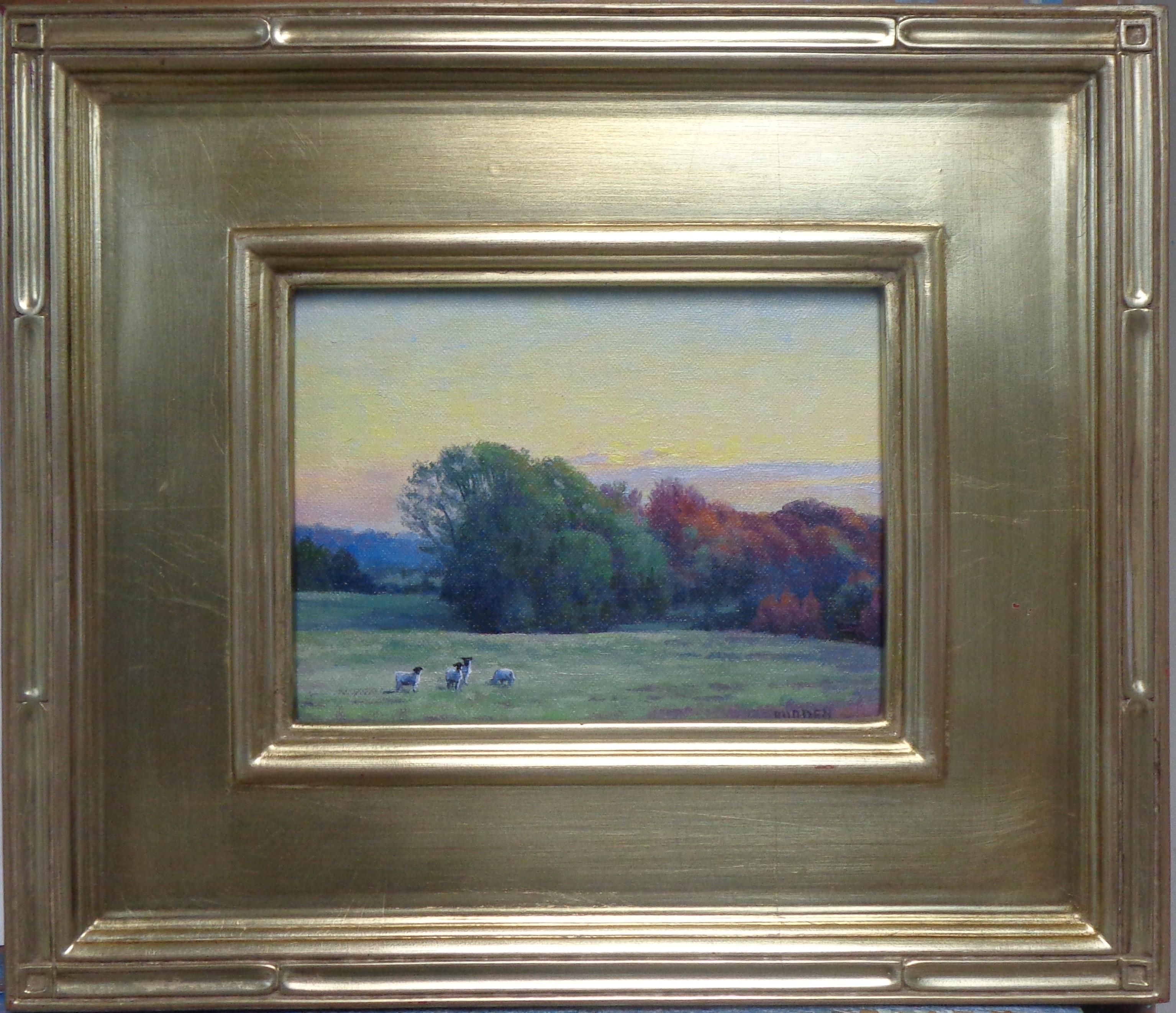 Pittura impressionistica realistica di paesaggio Michael Budden Pecore d'autunno