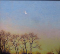 Impressionista realistico paesaggio al chiaro di luna dipinto ad olio Michael Budden