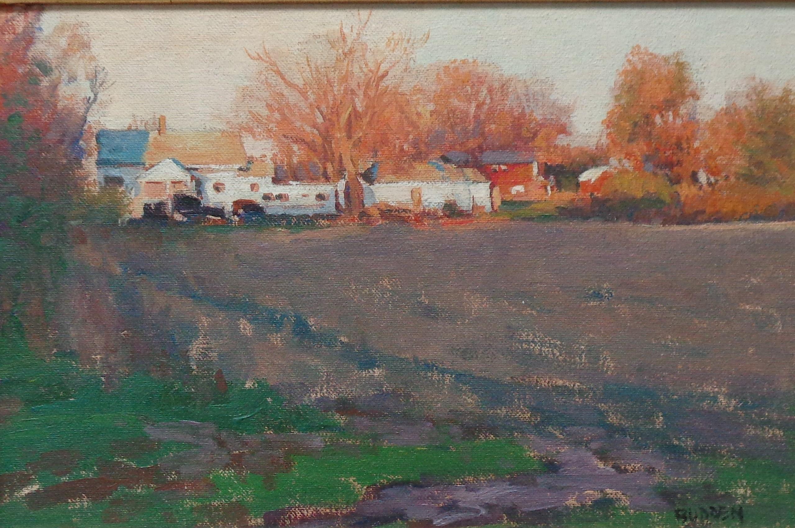 Pittura ad olio impressionistica di paesaggio rurale agricolo Michael Budden Shadow & Light in vendita 1