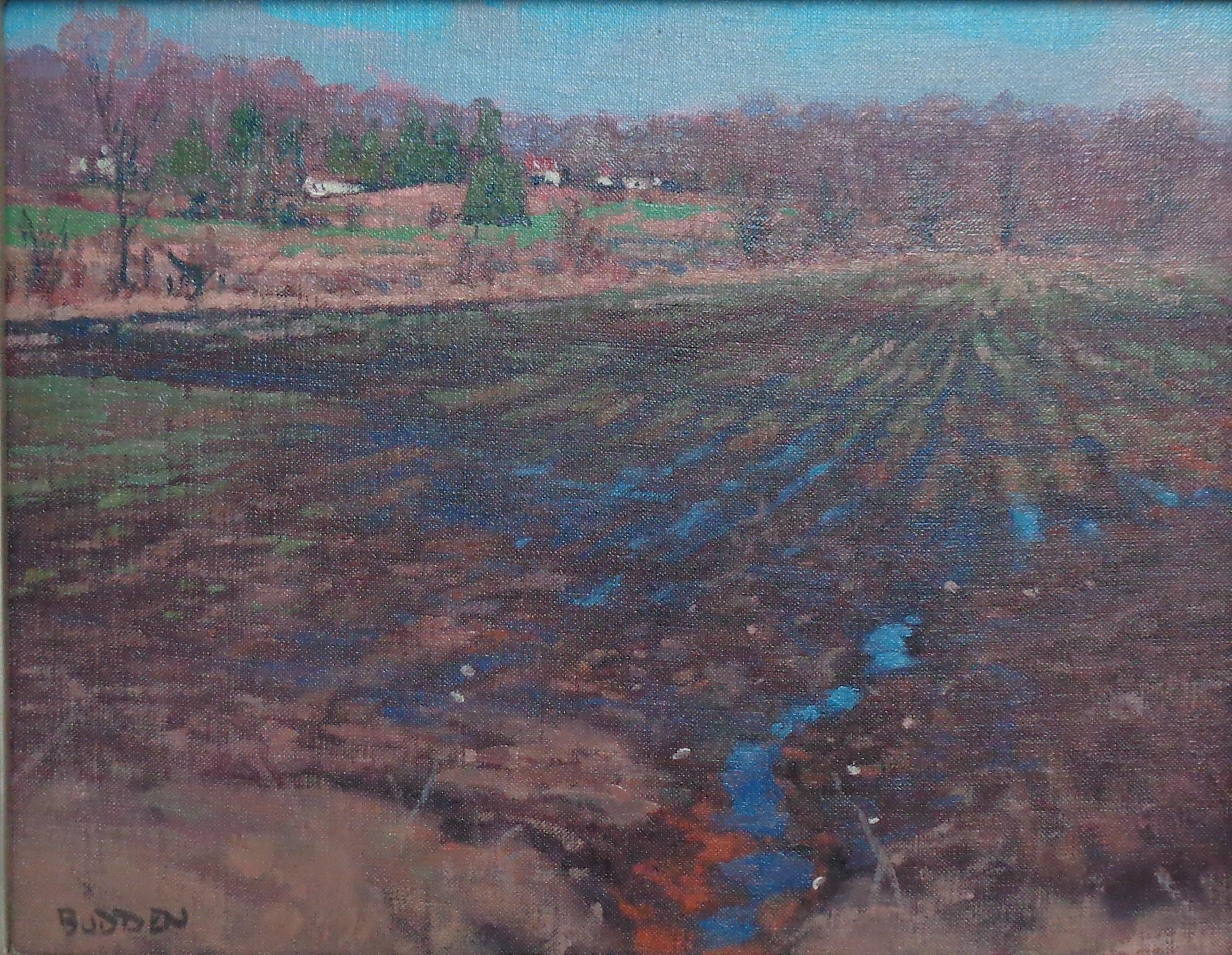 Paesaggio rurale impressionistico dipinto a olio Michael Budden Campi agricoli in vendita 1